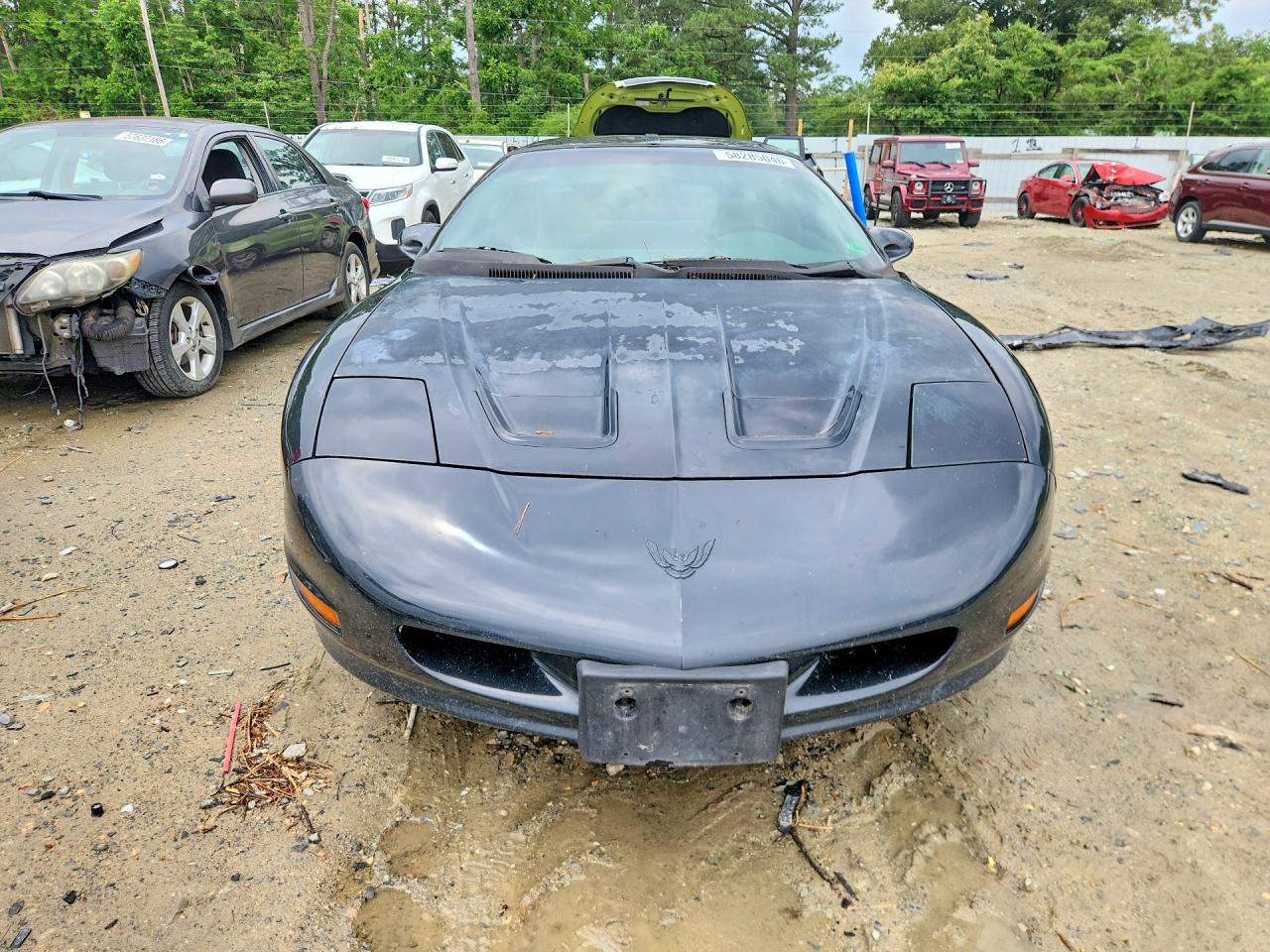 1994 Pontiac Firebird Black vin: 2G2FS22S4R2231465