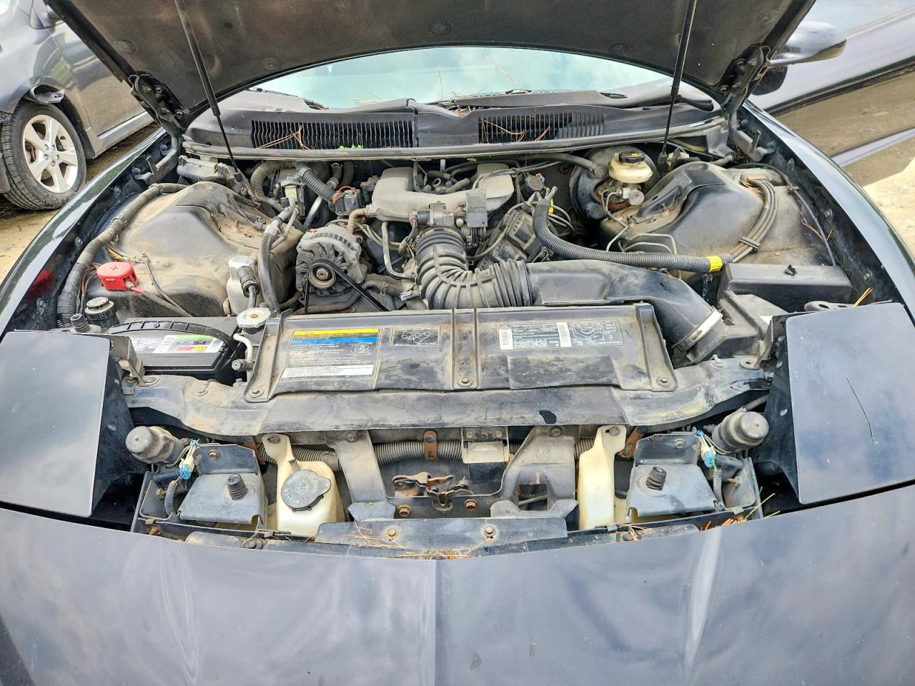 1994 Pontiac Firebird Black vin: 2G2FS22S4R2231465