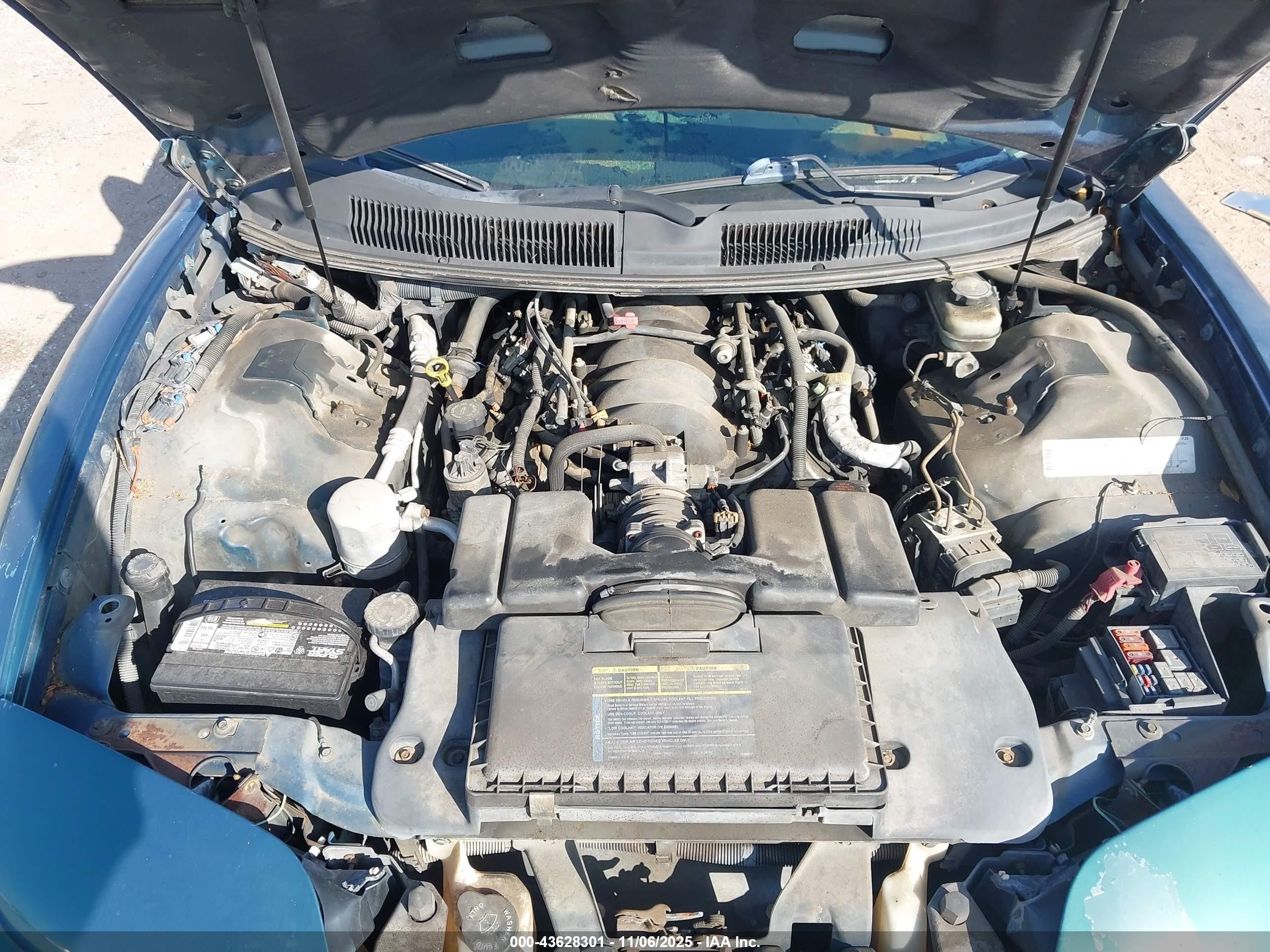 1998 Pontiac Firebird Trans Am Green vin: 2G2FV22G2W2230717