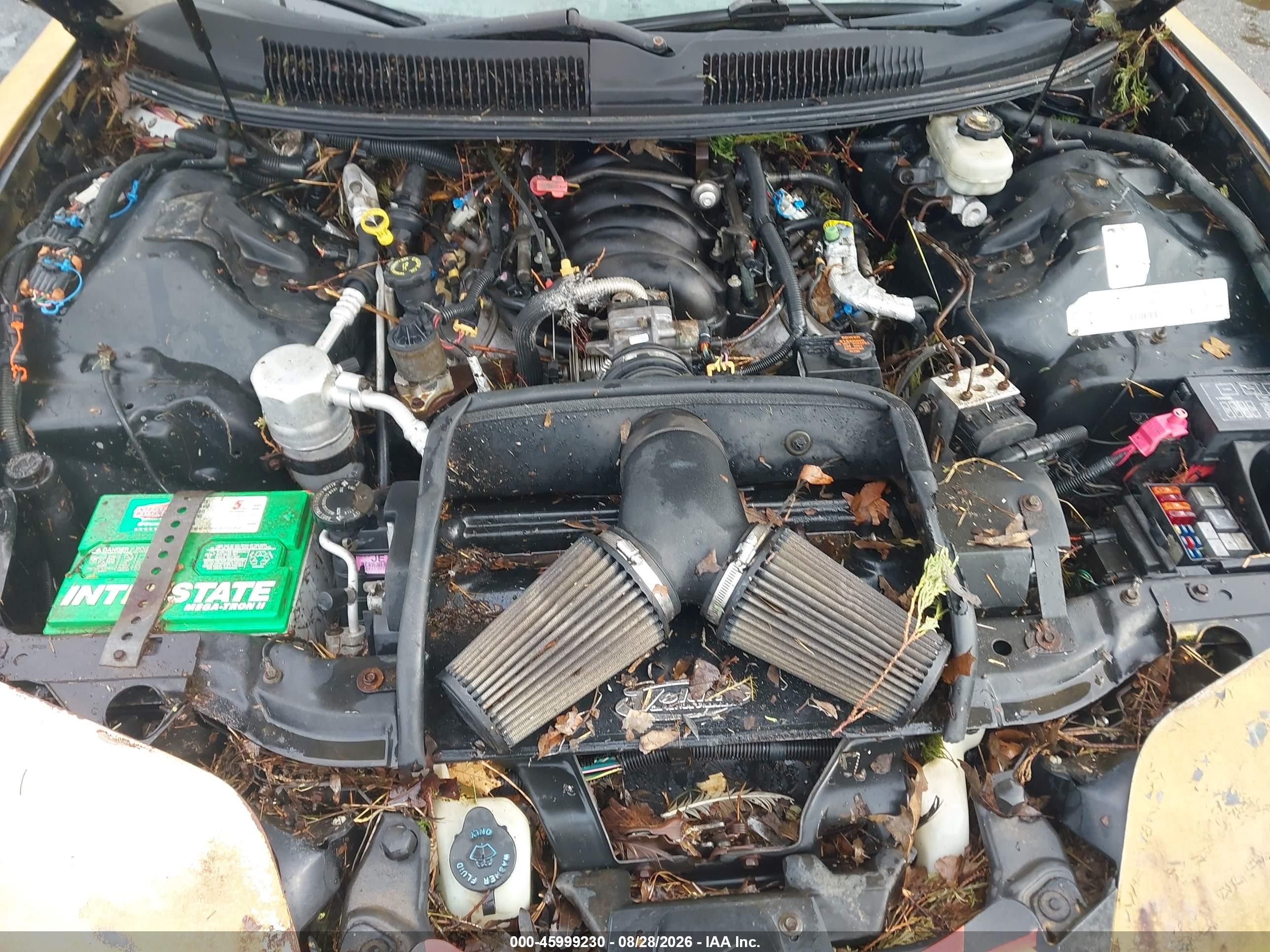 1998 Pontiac Firebird Trans Am Black vin: 2G2FV22G3W2230726