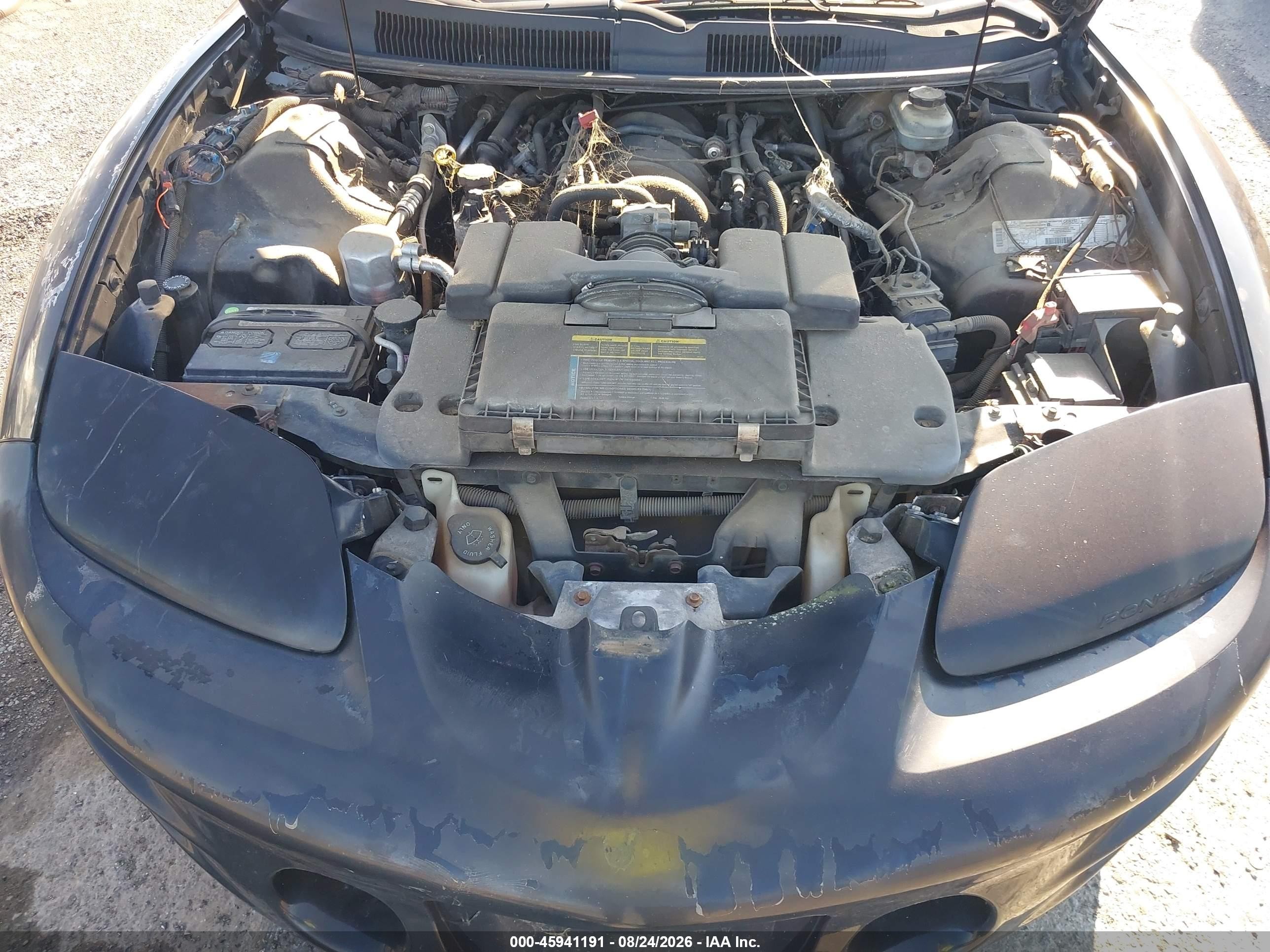 1998 Pontiac Firebird Trans Am Black vin: 2G2FV22G4W2215703