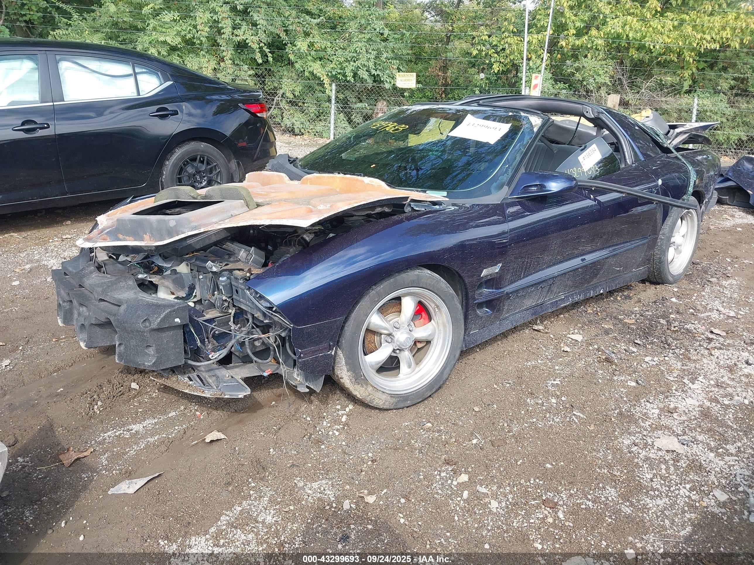 1998 Pontiac Firebird Trans Am Blue vin: 2G2FV22G5W2223244