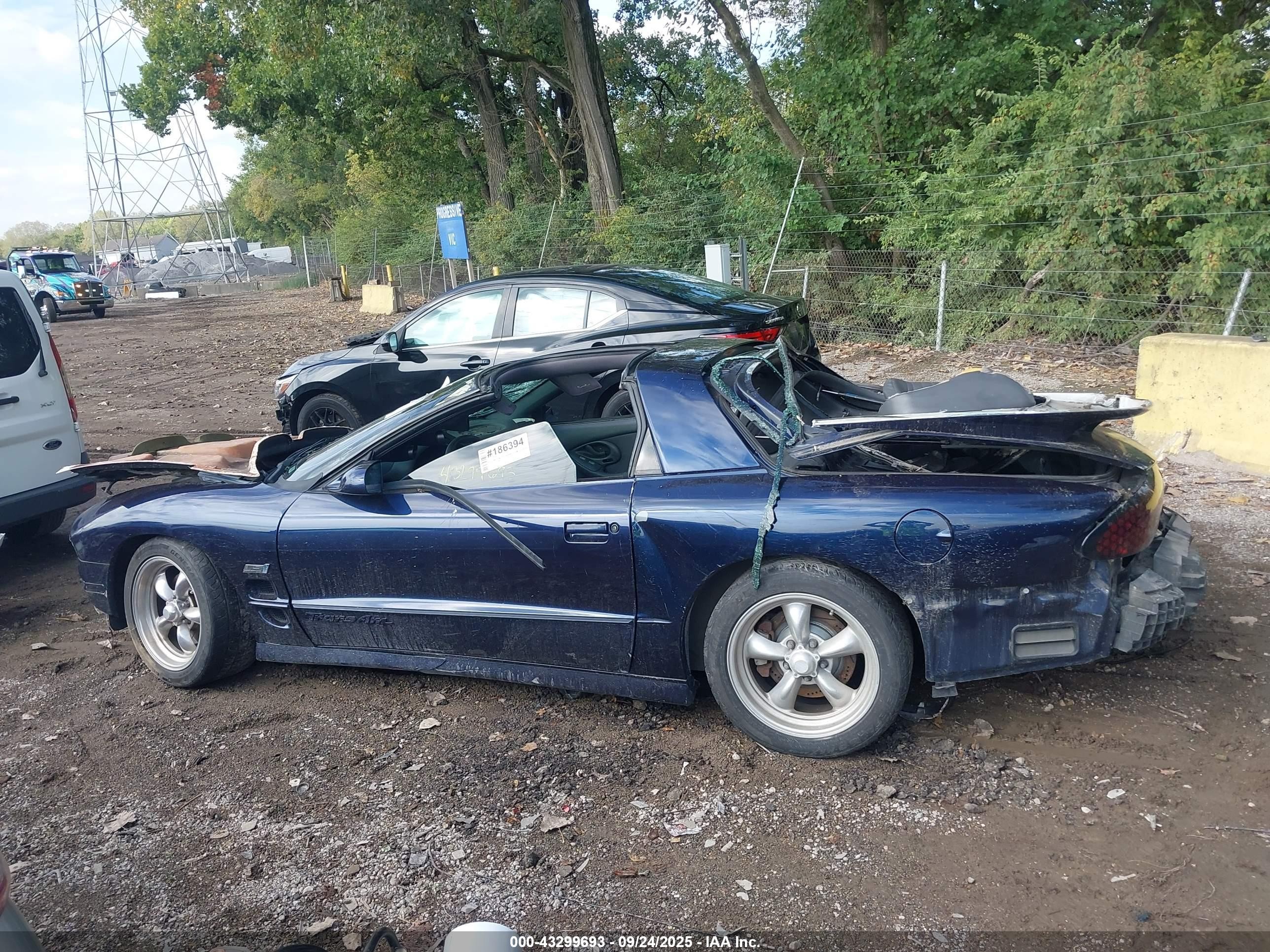 1998 Pontiac Firebird Trans Am Blue vin: 2G2FV22G5W2223244