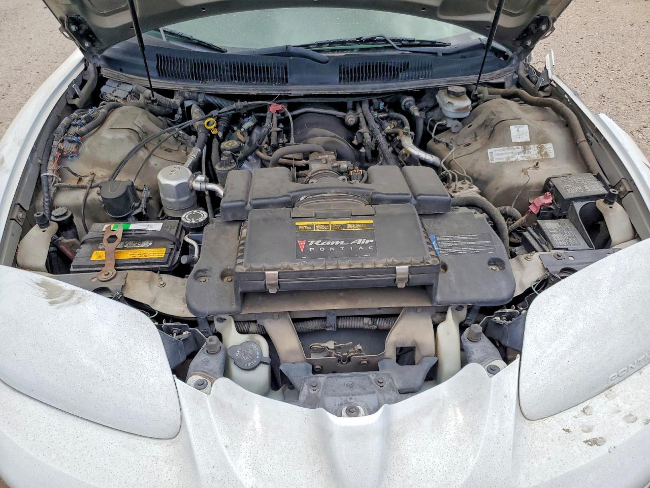 2000 Pontiac Firebird Formula Белый vin: 2G2FV22G8Y2153869