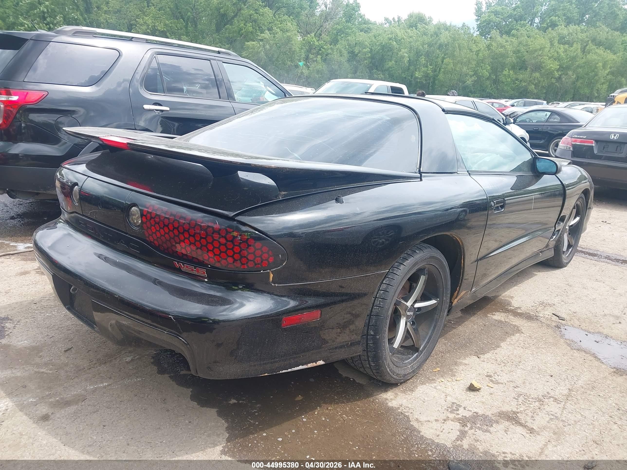 1998 Pontiac Firebird Trans Am Black vin: 2G2FV22GXW2219206