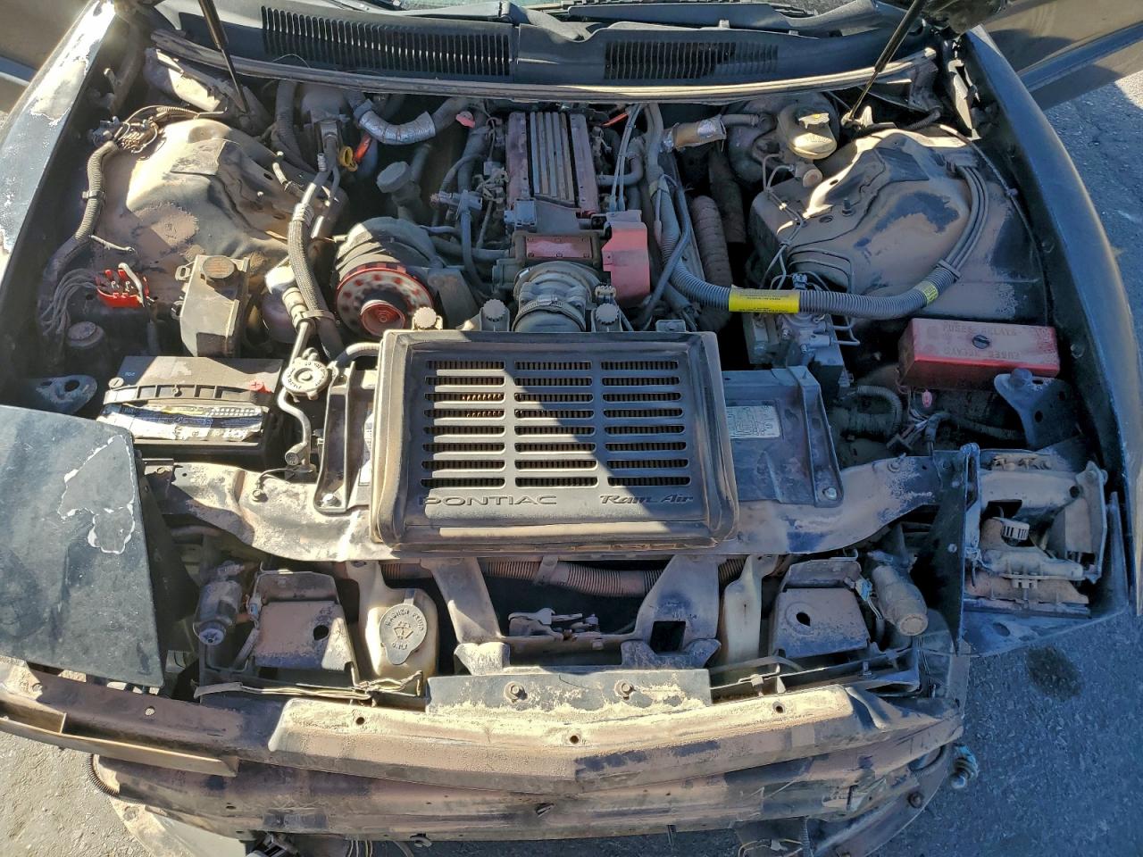 1997 Pontiac Firebird Formula Черный vin: 2G2FV22P3V2216128
