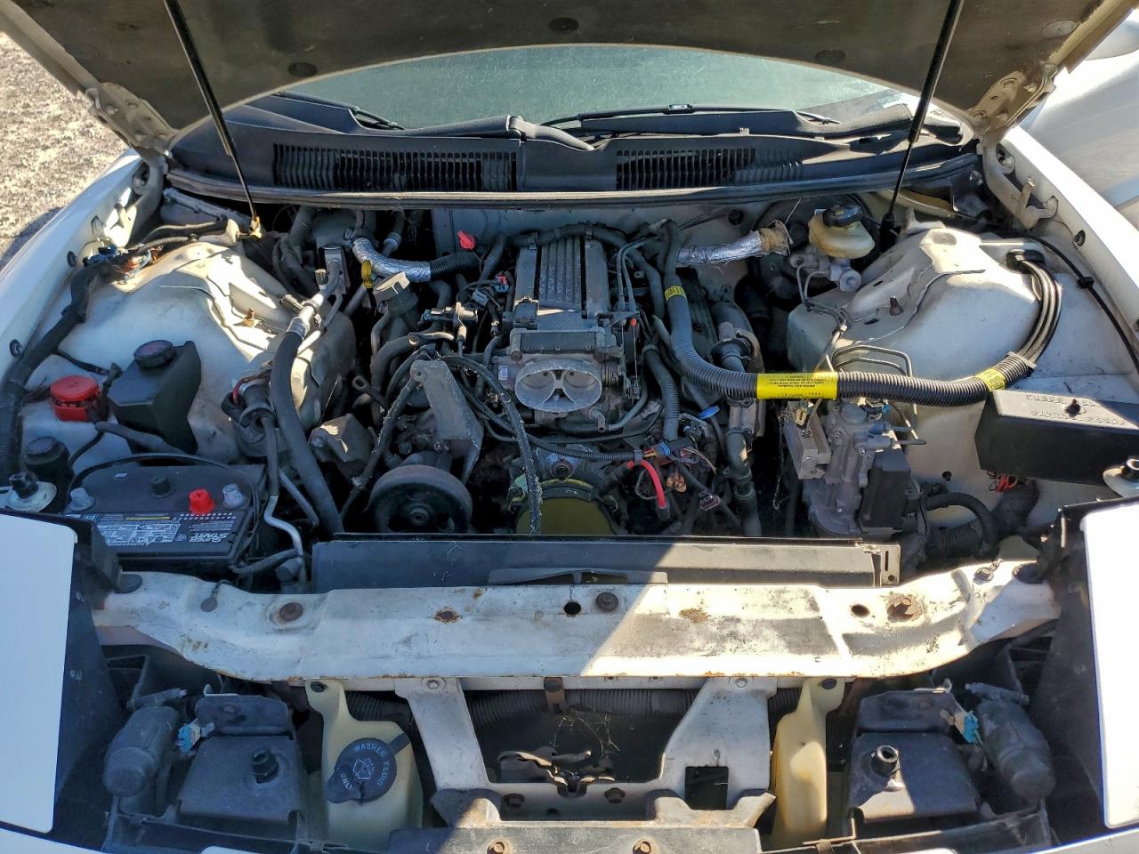 1997 Pontiac Firebird Formula Белый vin: 2G2FV22P4V2216963