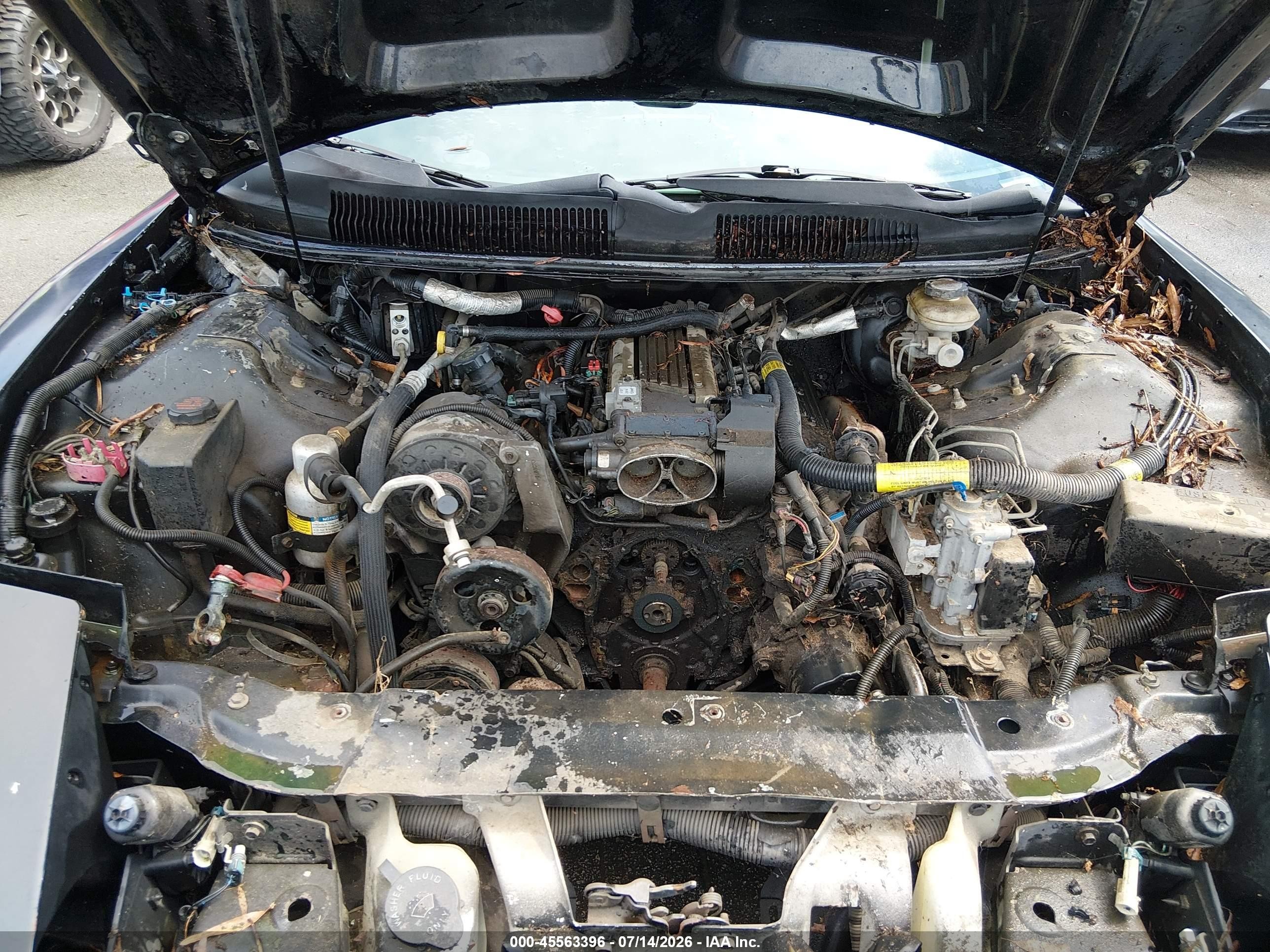 1996 Pontiac Firebird Formula/trans Am Черный vin: 2G2FV22P6T2213530