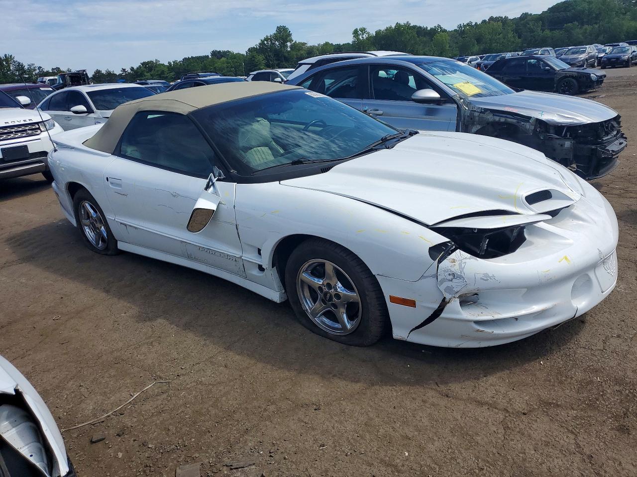 2002 Pontiac Firebird Trans Am White vin: 2G2FV32G222161298