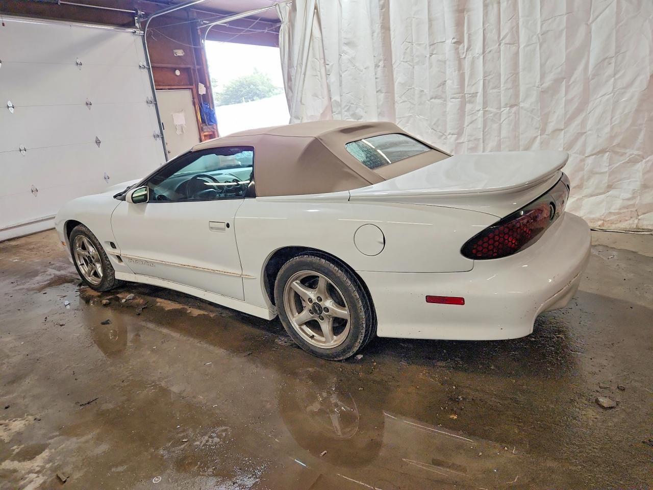 2000 Pontiac Firebird Trans Am White vin: 2G2FV32G3Y2144650