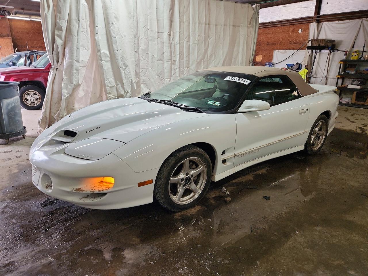 2000 Pontiac Firebird Trans Am White vin: 2G2FV32G3Y2144650