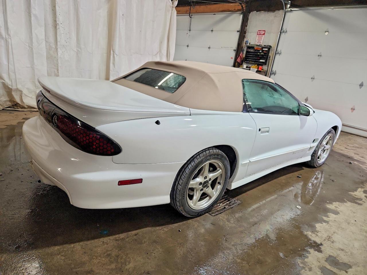 2000 Pontiac Firebird Trans Am White vin: 2G2FV32G3Y2144650