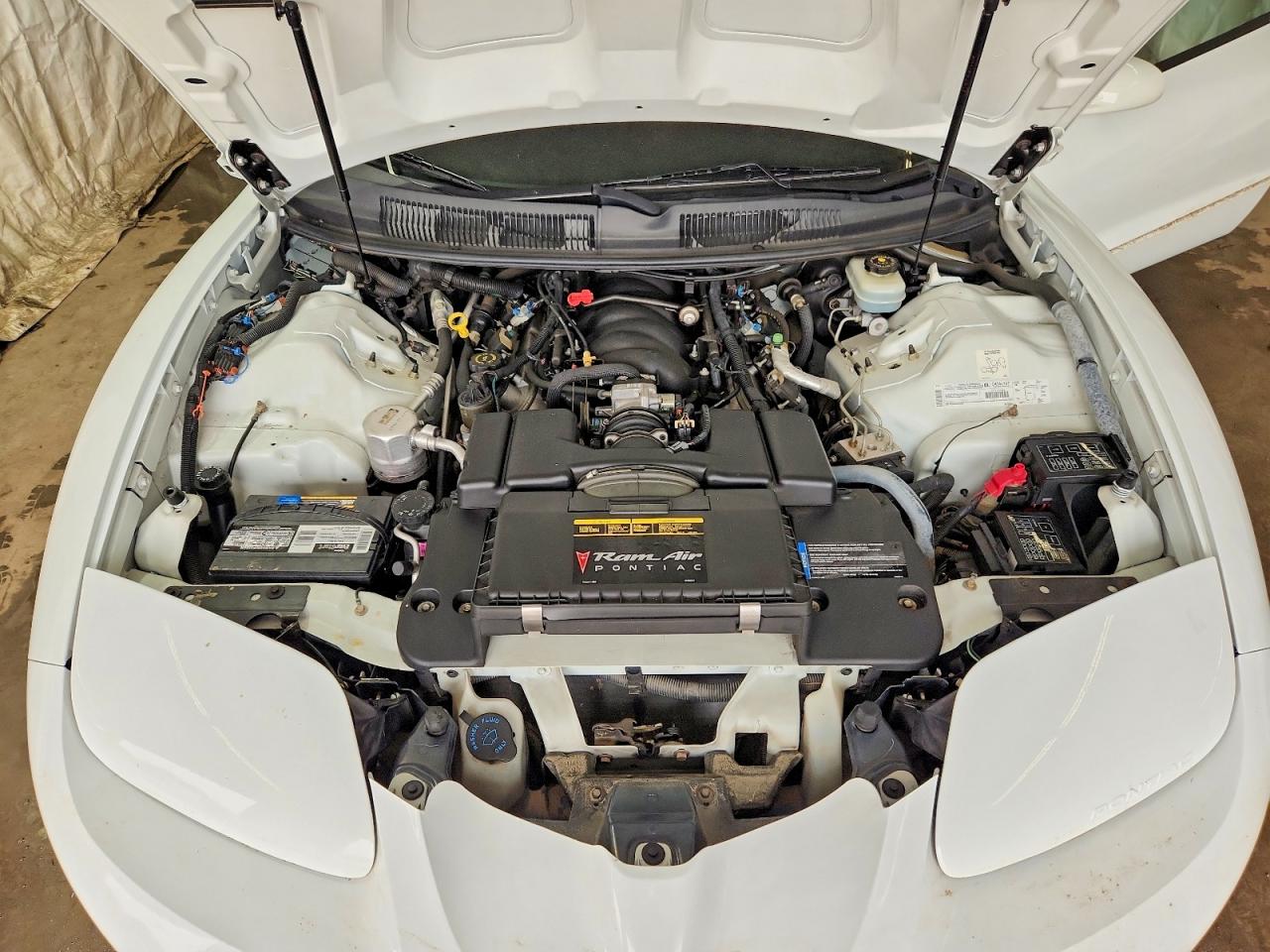 2000 Pontiac Firebird Trans Am White vin: 2G2FV32G3Y2144650