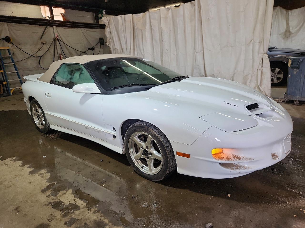 2000 Pontiac Firebird Trans Am White vin: 2G2FV32G3Y2144650