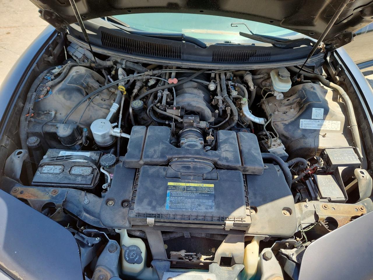 2002 Pontiac Firebird Trans Am Black vin: 2G2FV32G722104207
