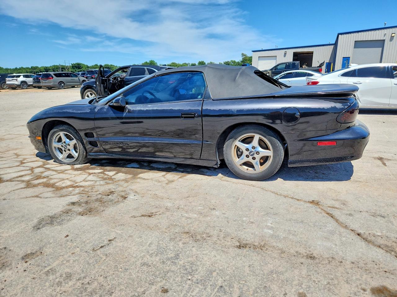 2002 Pontiac Firebird Trans Am Black vin: 2G2FV32G722104207
