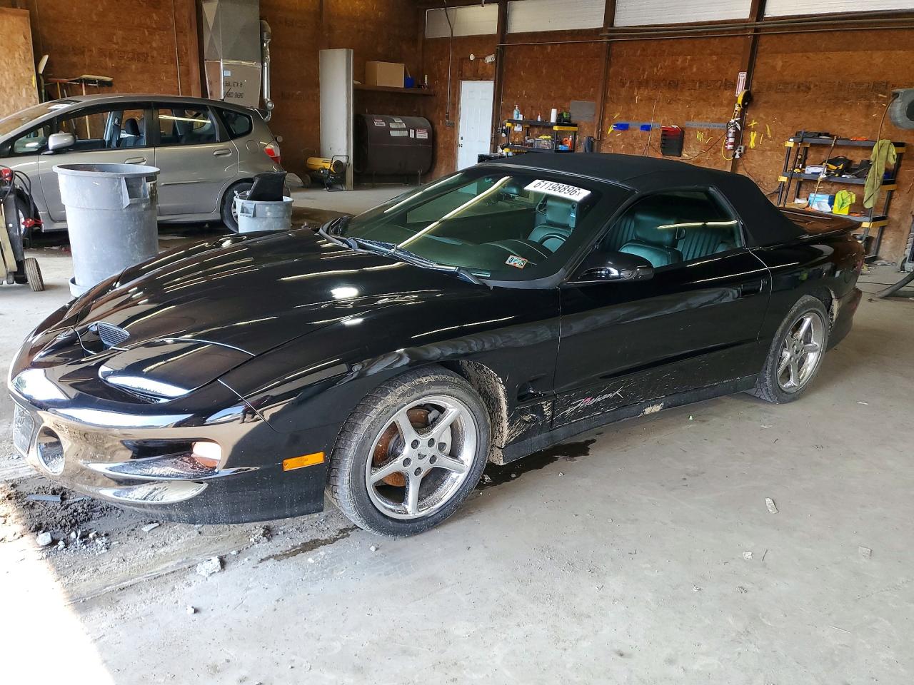 2002 Pontiac Firebird Trans Am Black vin: 2G2FV32G722130371