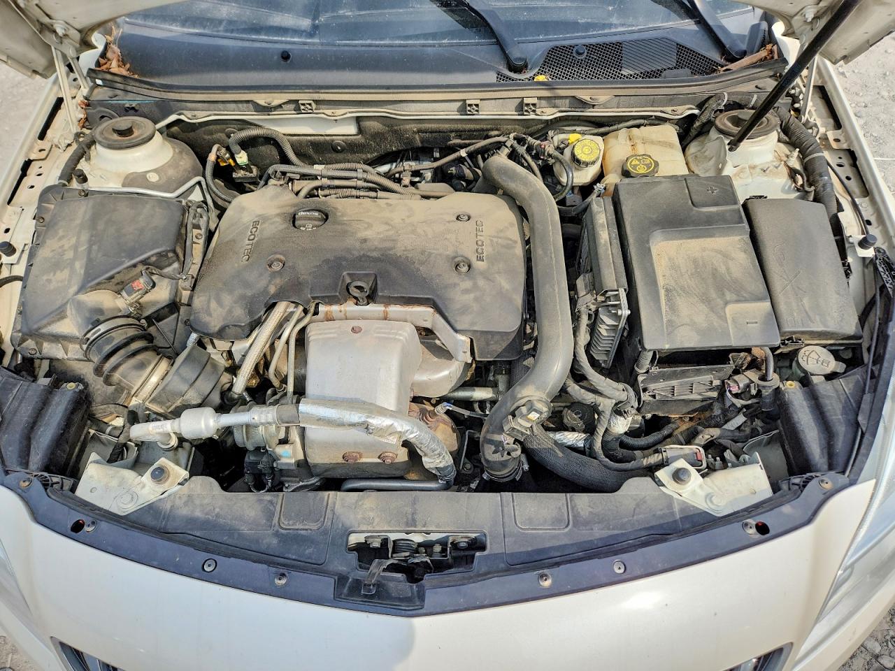 2015 Buick Regal Белый vin: 2G4GK5EX5F9243549