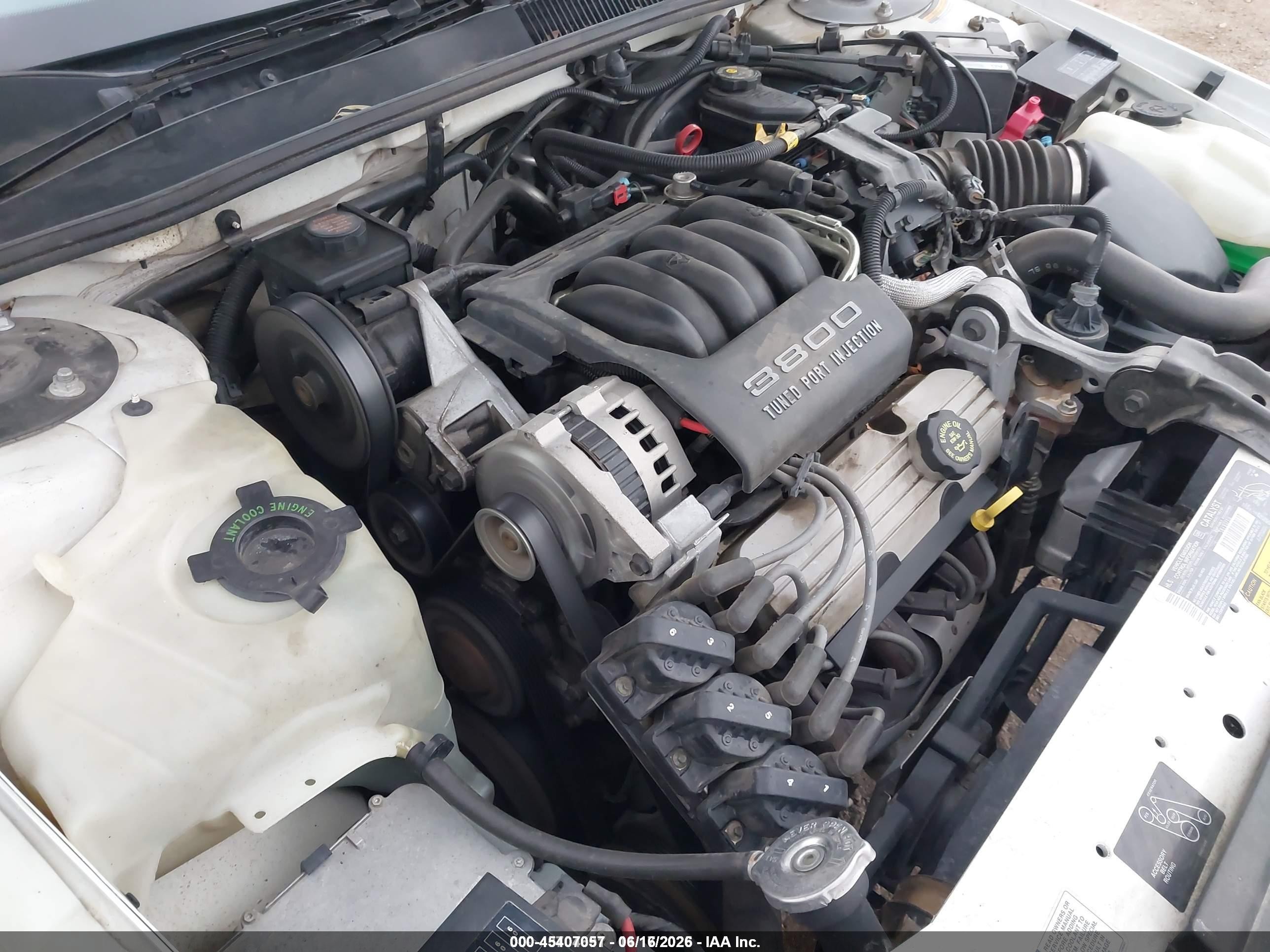 1995 Buick Regal Custom/gran Sport Белый vin: 2G4WB12L3S1501906
