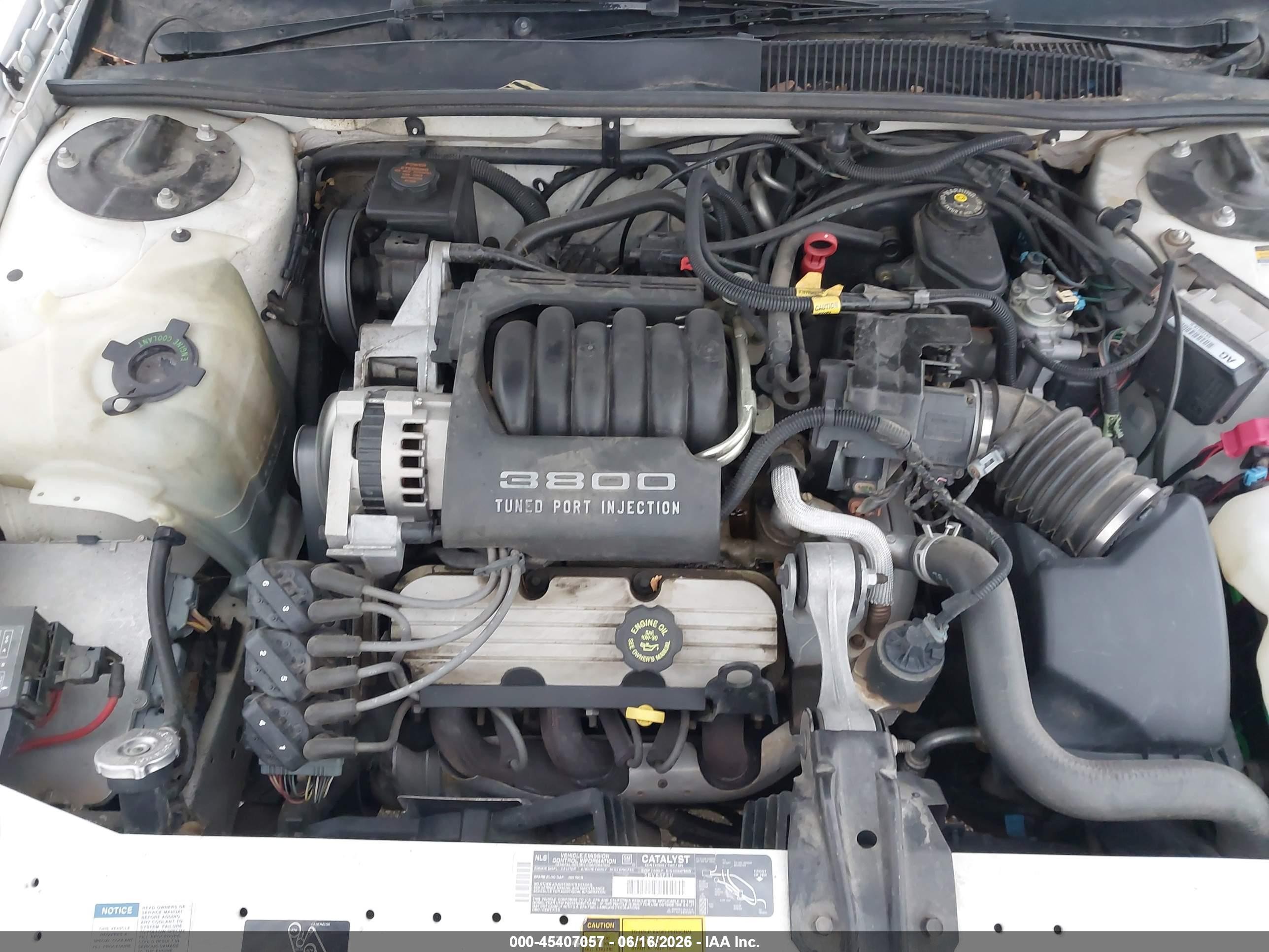 1995 Buick Regal Custom/gran Sport Белый vin: 2G4WB12L3S1501906