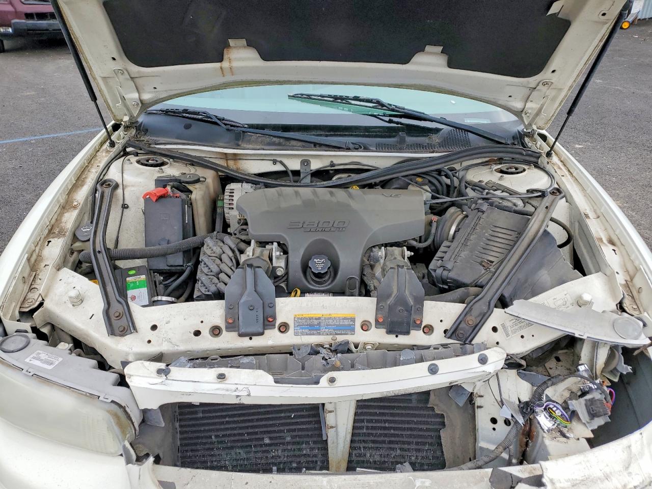 2004 Buick Regal Ls Белый vin: 2G4WB52K141219426