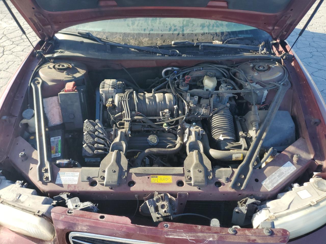 1998 Buick Regal Ls Темно-бордовый vin: 2G4WB52K7W1563040