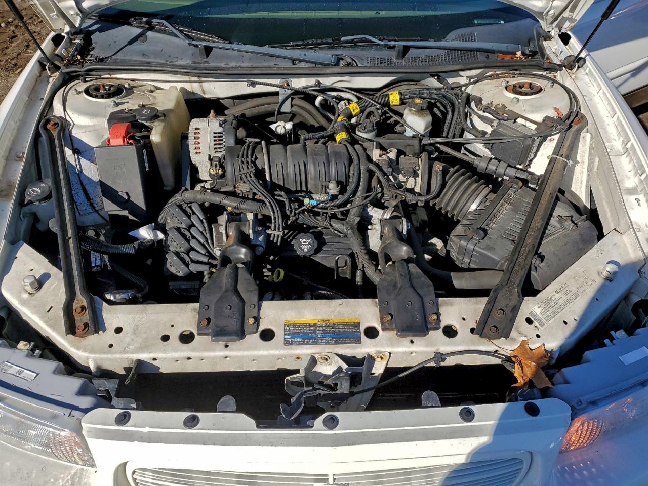 2004 Buick Regal Ls Белый vin: 2G4WB52K941228195