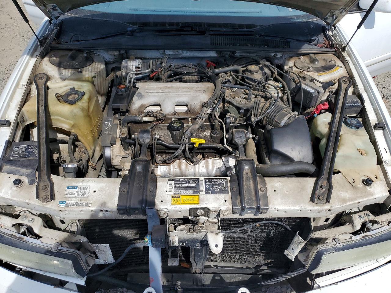 1994 Buick Regal Custom White vin: 2G4WB55M8R1446729