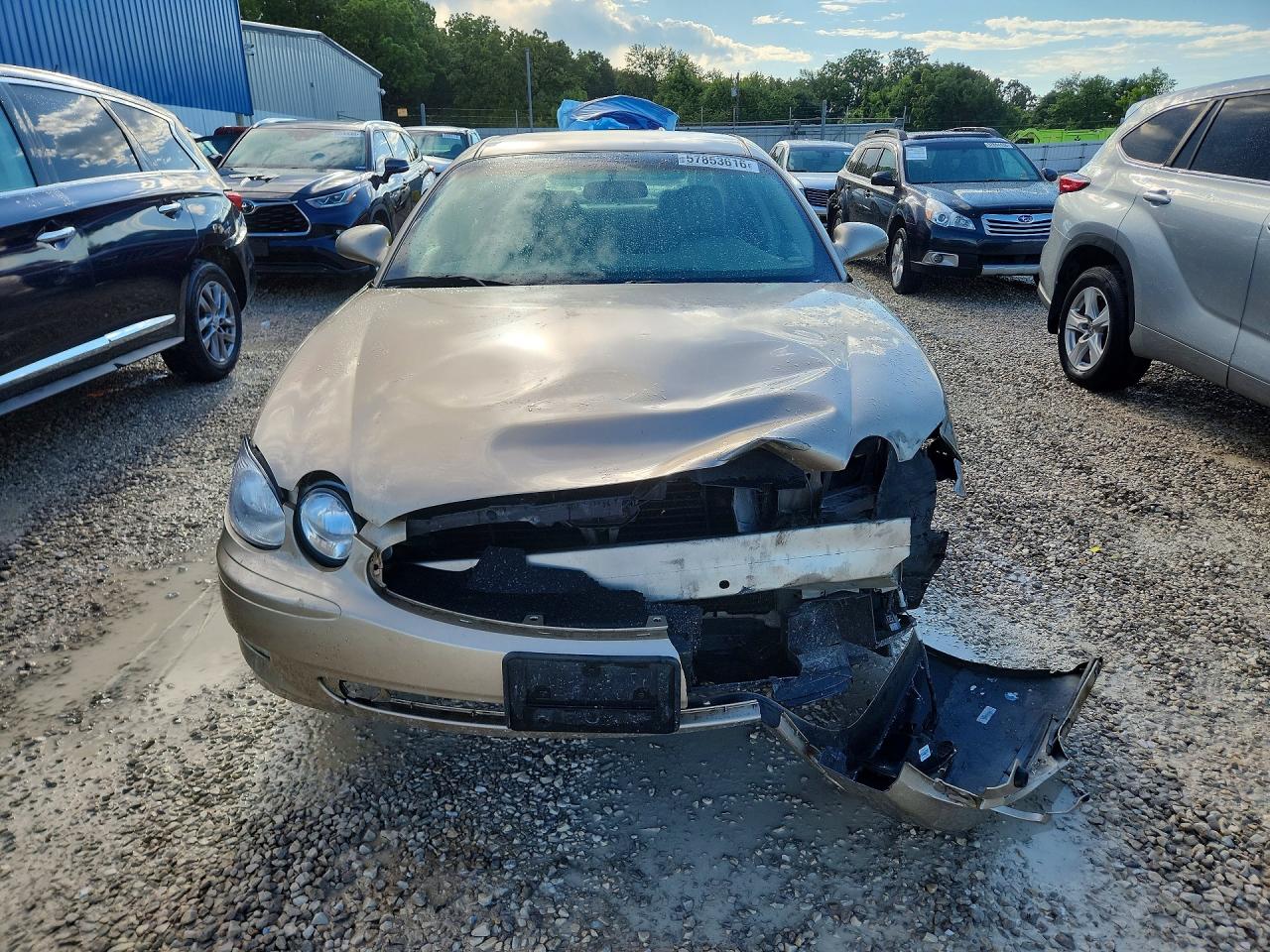2005 Buick Lacrosse Золотой vin: 2G4WD532751260590