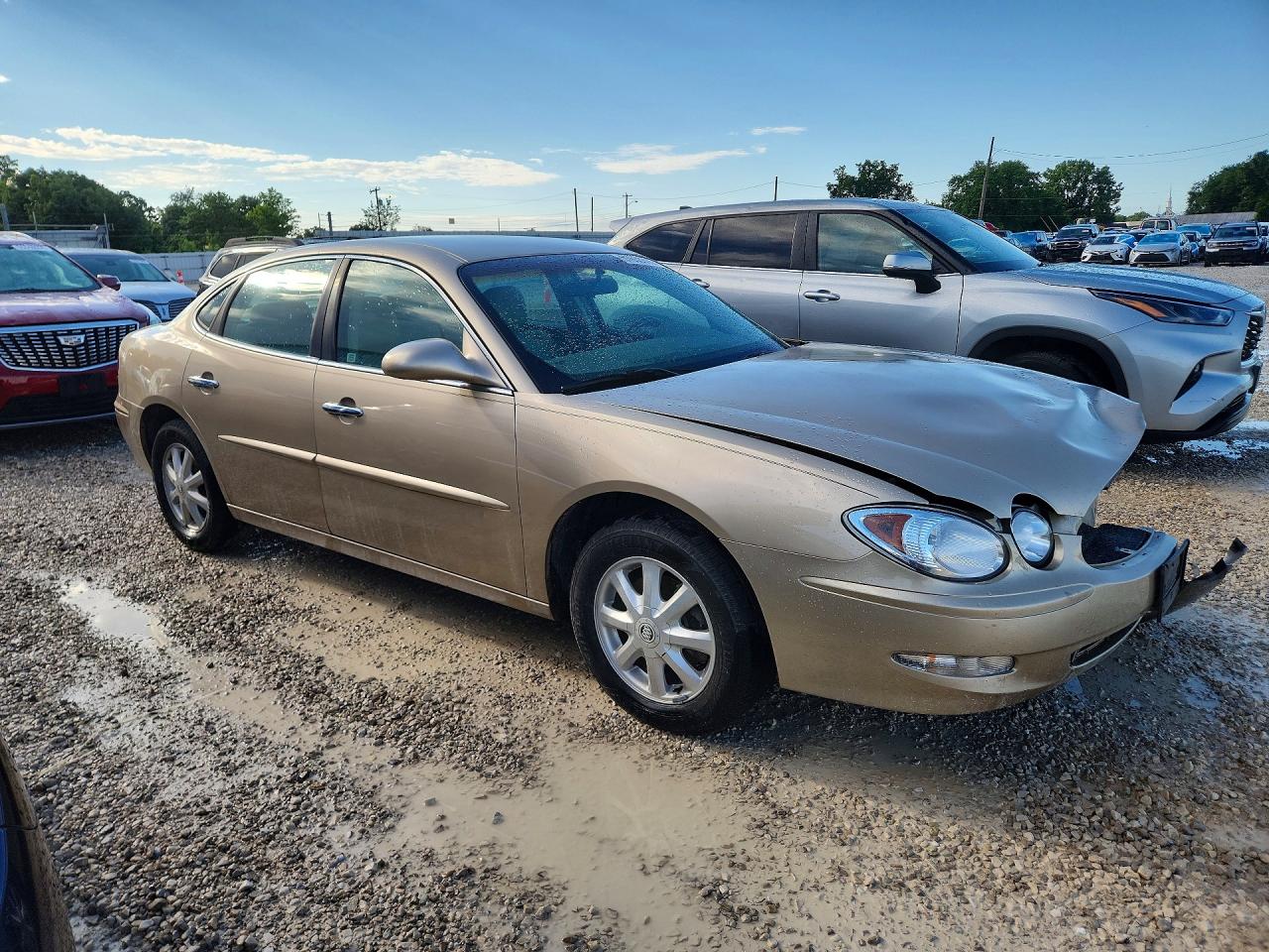 2005 Buick Lacrosse Золотой vin: 2G4WD532751260590