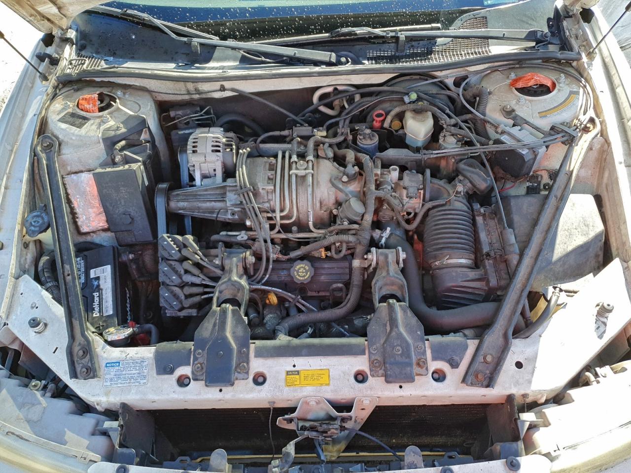 1998 Buick Regal Gs Белый vin: 2G4WF5211W1465519