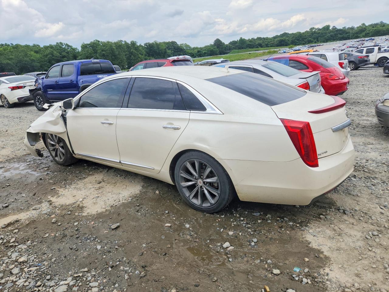 2014 Cadillac Xts Кремовый vin: 2G61L5S39E9237781