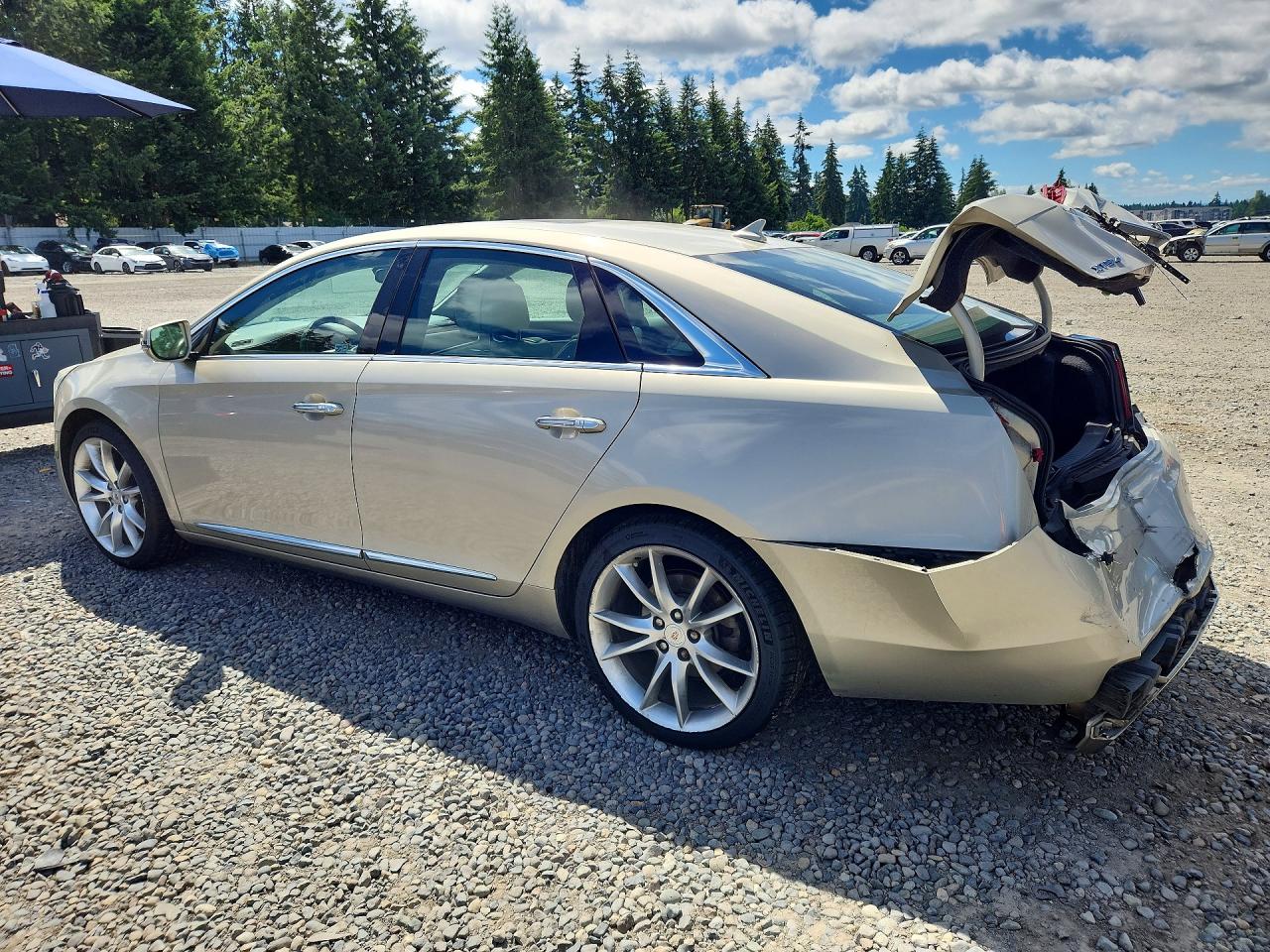 2013 Cadillac Xts Premium Collection Beige vin: 2G61T5S36D9190921