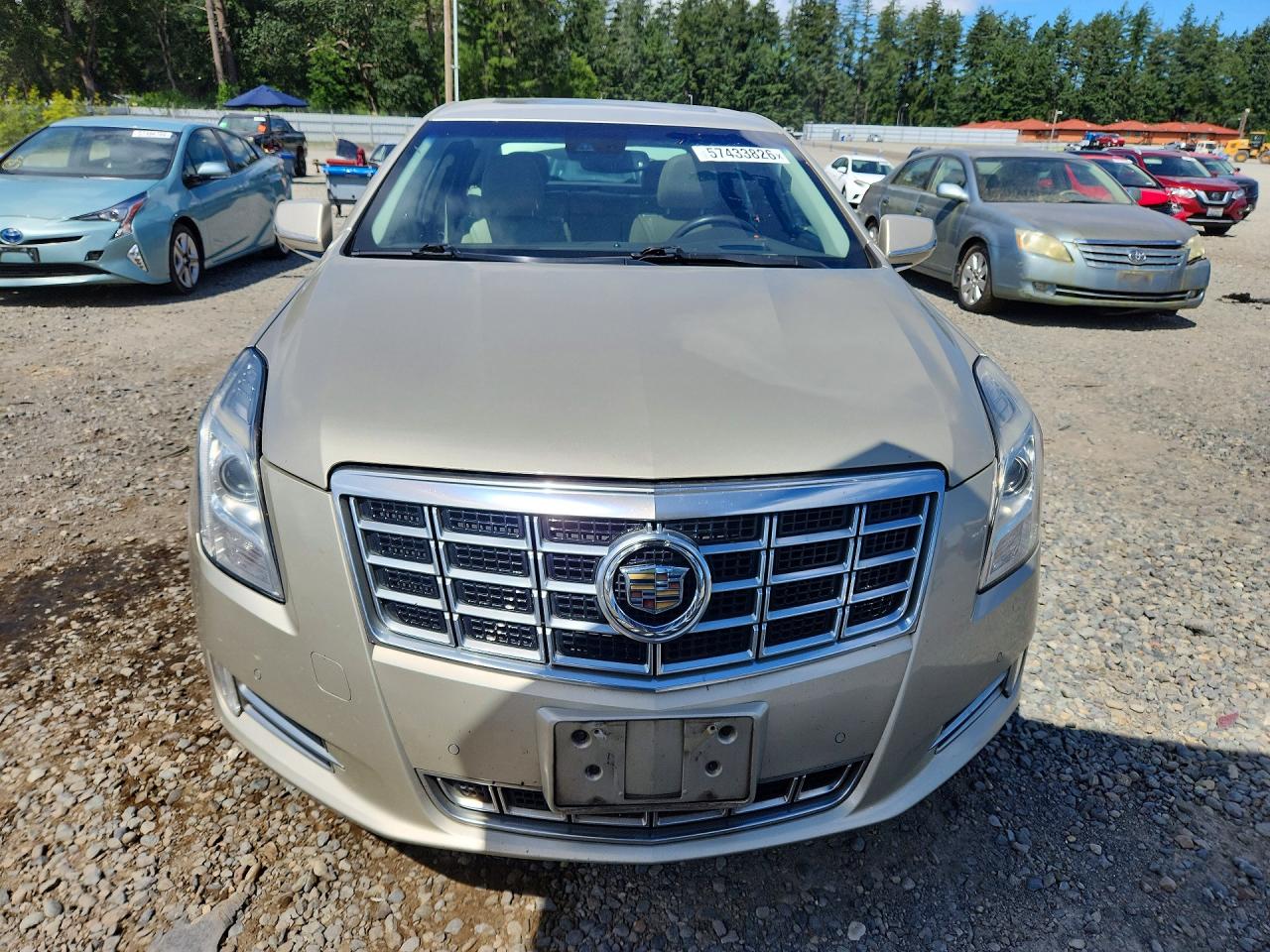 2013 Cadillac Xts Premium Collection Beige vin: 2G61T5S36D9190921