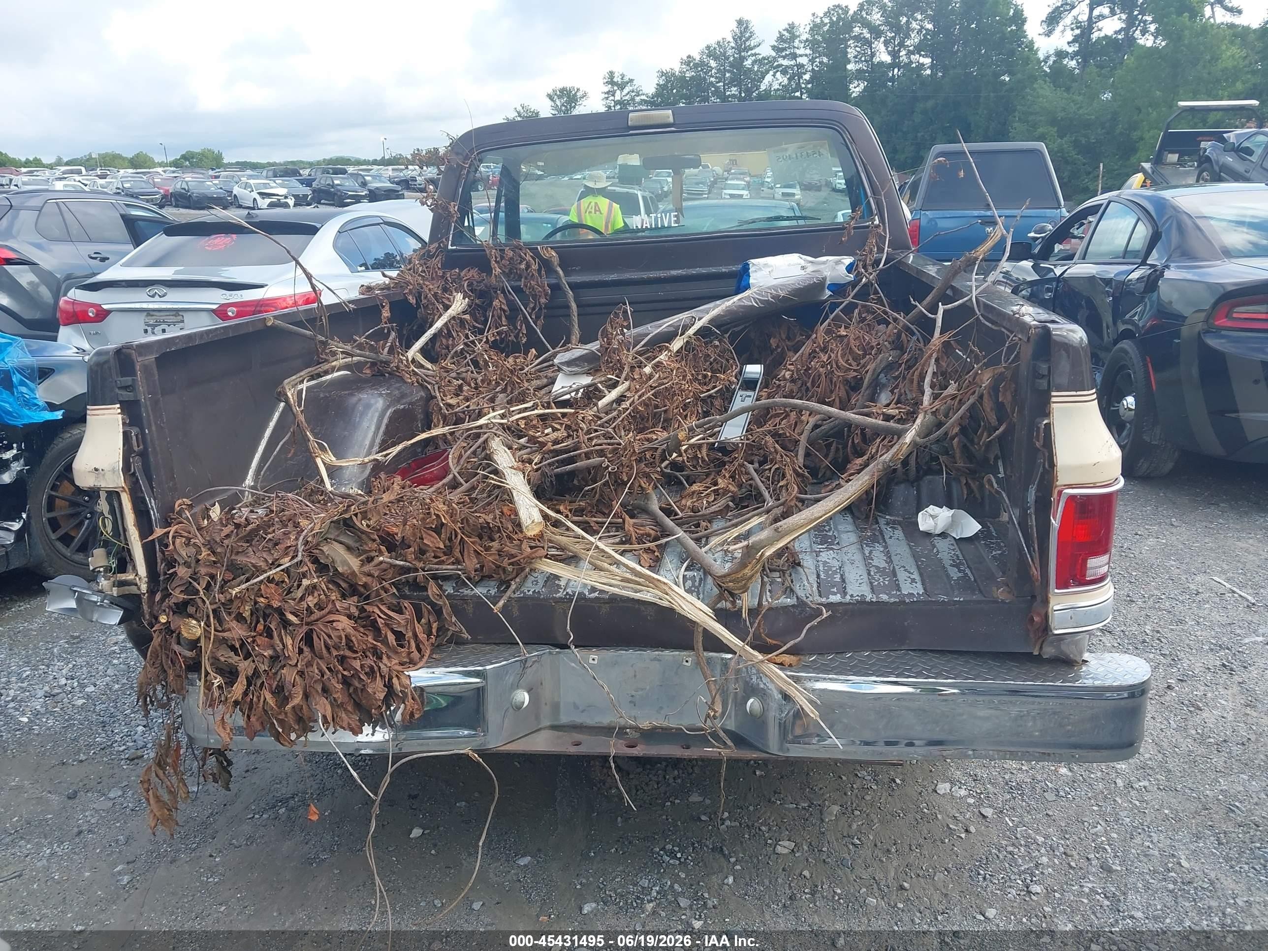 1986 Chevrolet C10   Brown vin: 2GCDC14H0G1223748