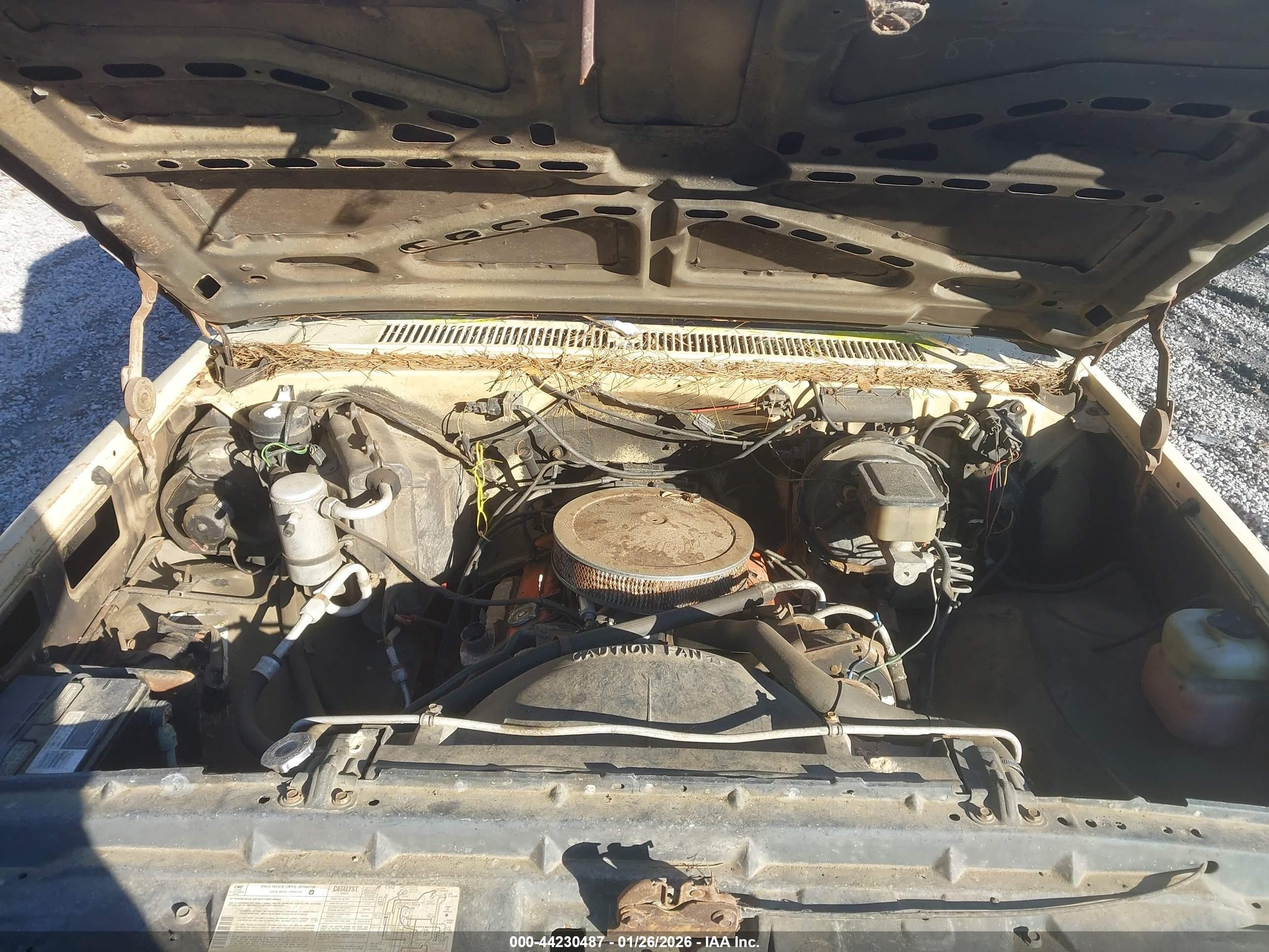 1982 Chevrolet C10   Tan vin: 2GCDC14H7C1112818