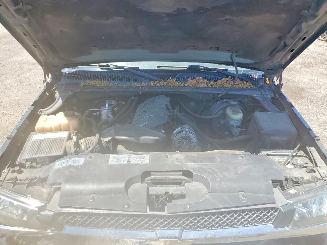 2005 Chevrolet Silverado C1500 Green vin: 2GCEC13T051256952