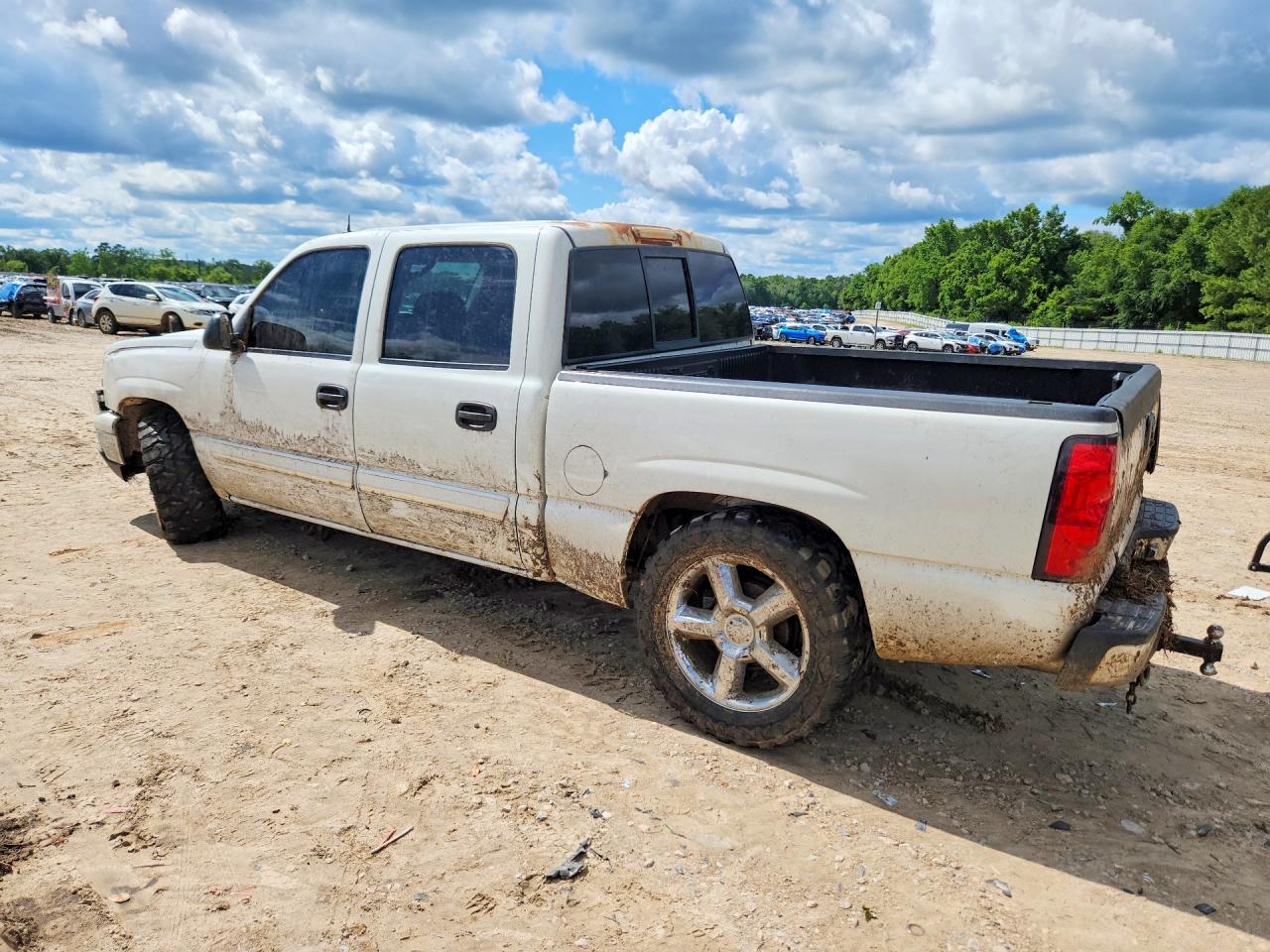 2005 Chevrolet Silverado C1500 Белый vin: 2GCEC13TX51206592