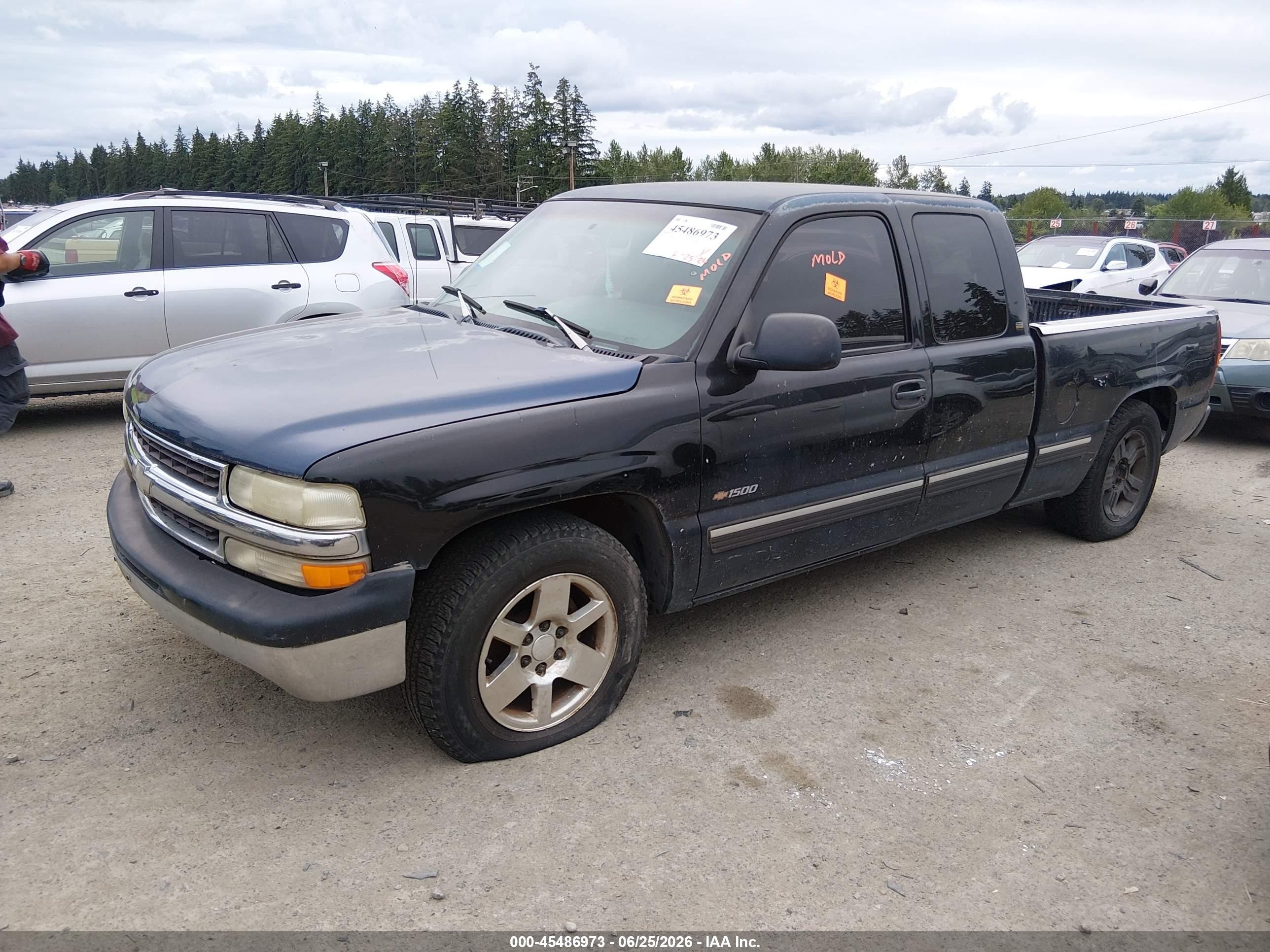 1999 Chevrolet Silverado 1500   Blue vin: 2GCEC19W1X1252803