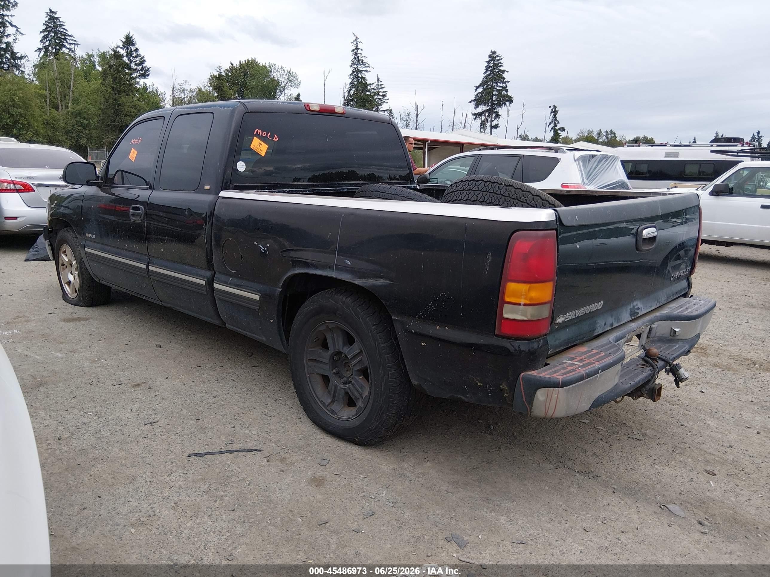 1999 Chevrolet Silverado 1500   Blue vin: 2GCEC19W1X1252803