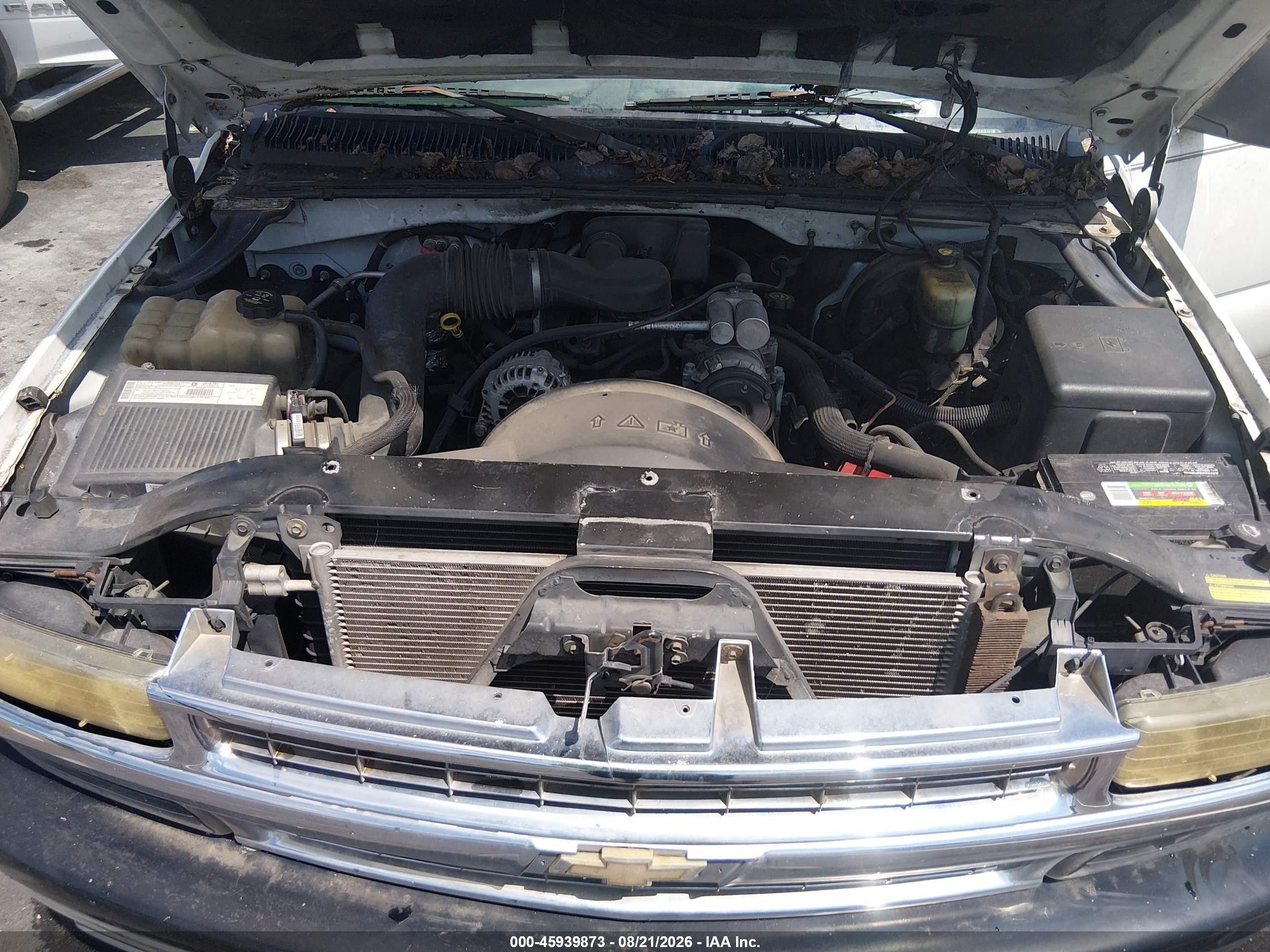 2002 Chevrolet Silverado 1500   White vin: 2GCEC19W321393087