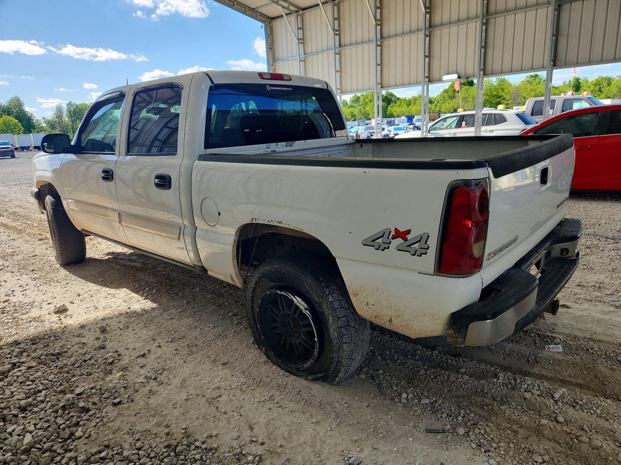 2005 Chevrolet Silverado K1500 Белый vin: 2GCEK13T951231888