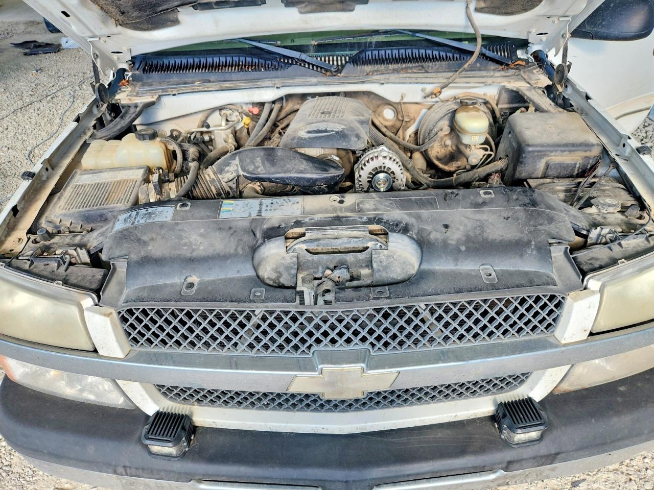 2005 Chevrolet Silverado K1500 Белый vin: 2GCEK13T951231888