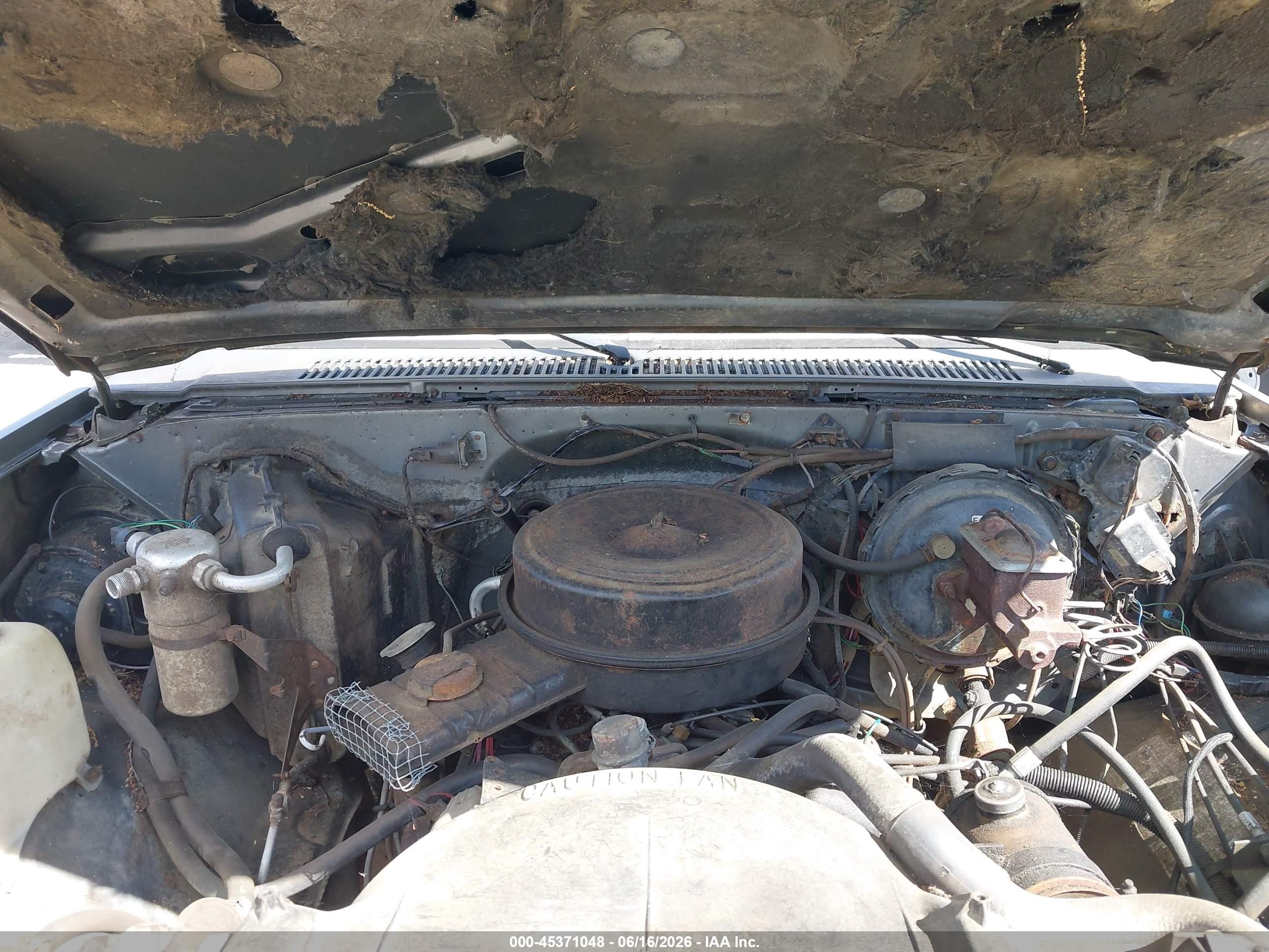 1986 Chevrolet K10   Gray vin: 2GCEK14H6G1216567