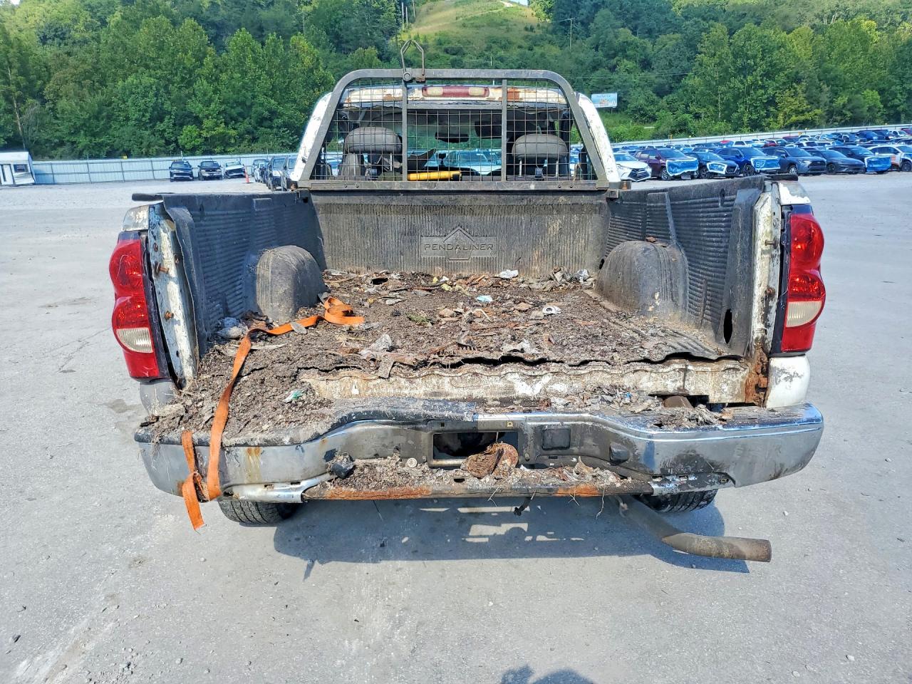 2004 Chevrolet Silverado K1500 White vin: 2GCEK19V041259666