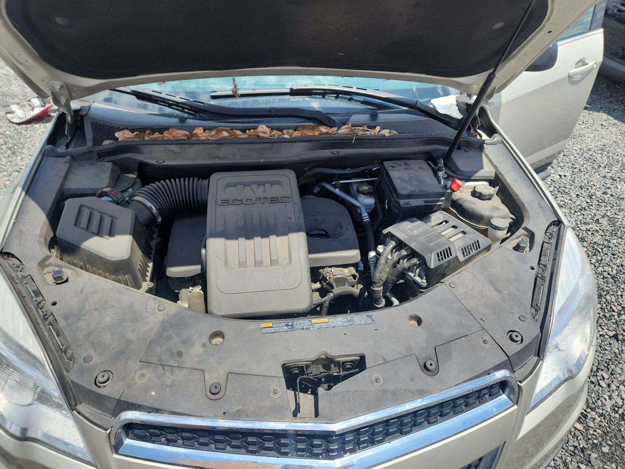 2013 Chevrolet Equinox Ls Желто-коричневый vin: 2GNALBEK6D6213444