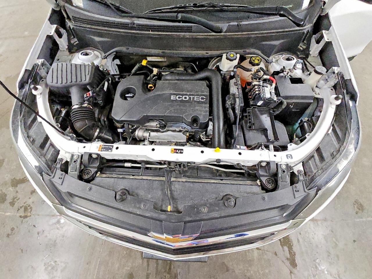 2019 Chevrolet Equinox Lt Белый vin: 2GNAXKEV8K6244075