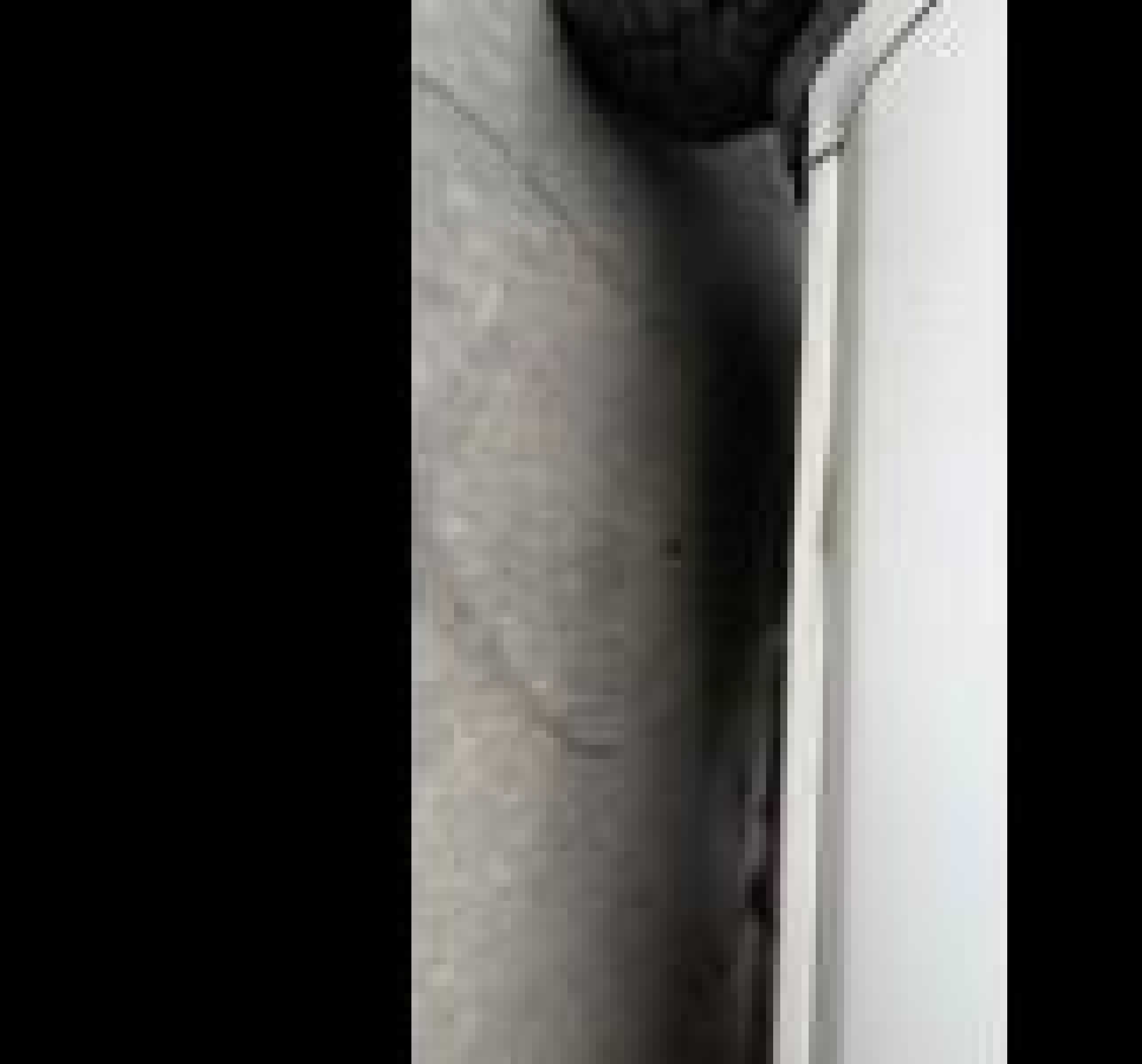 2GT22NEG3K1225073