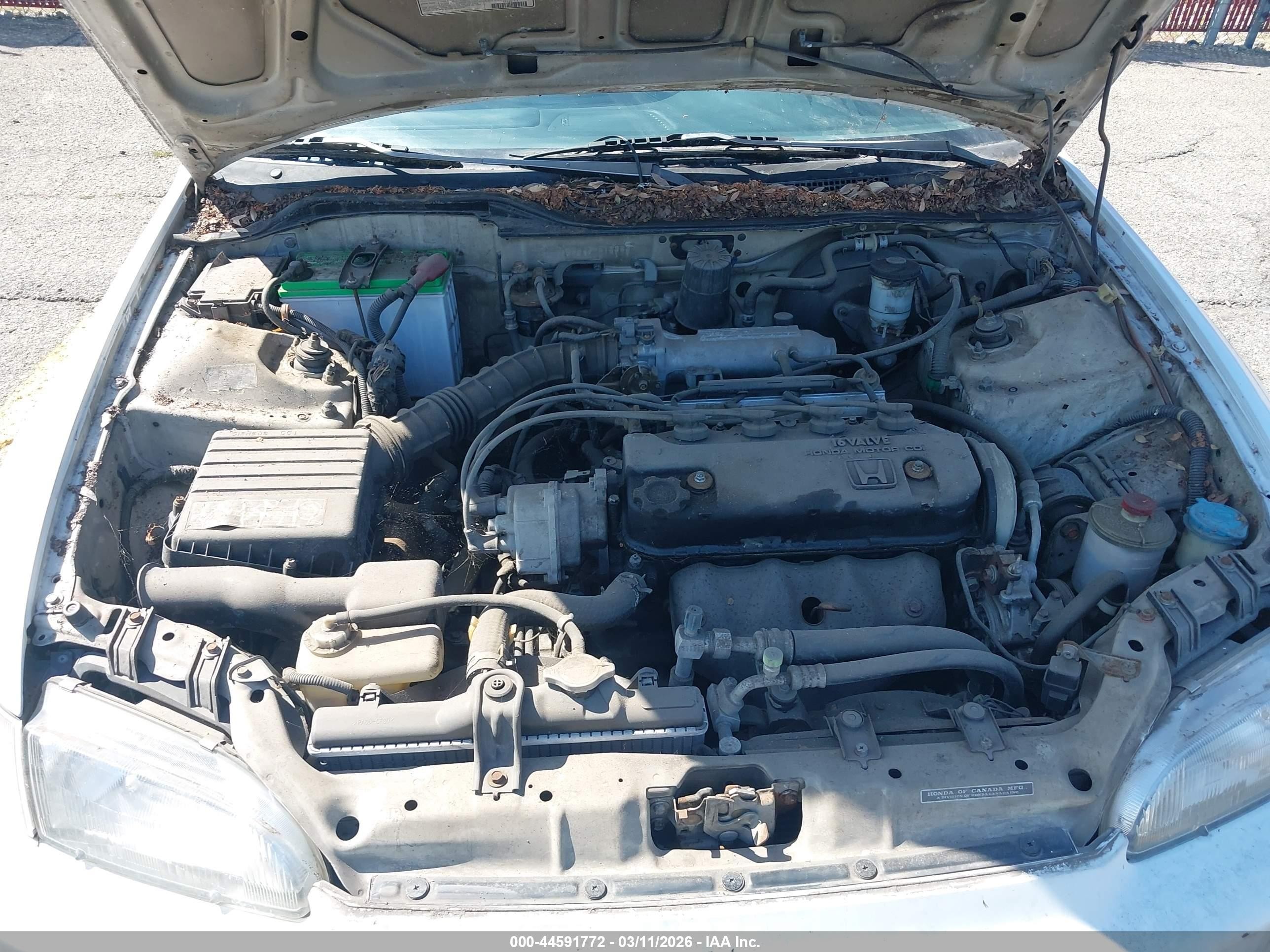 1994 Honda Civic Dx Белый vin: 2HGEH2462RH513303