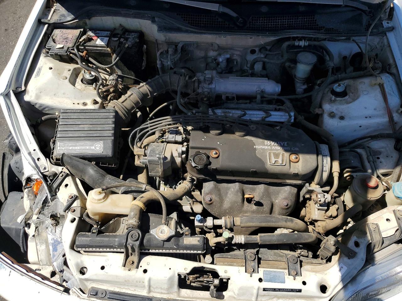 1994 Honda Civic Dx White vin: 2HGEH2464RH500620